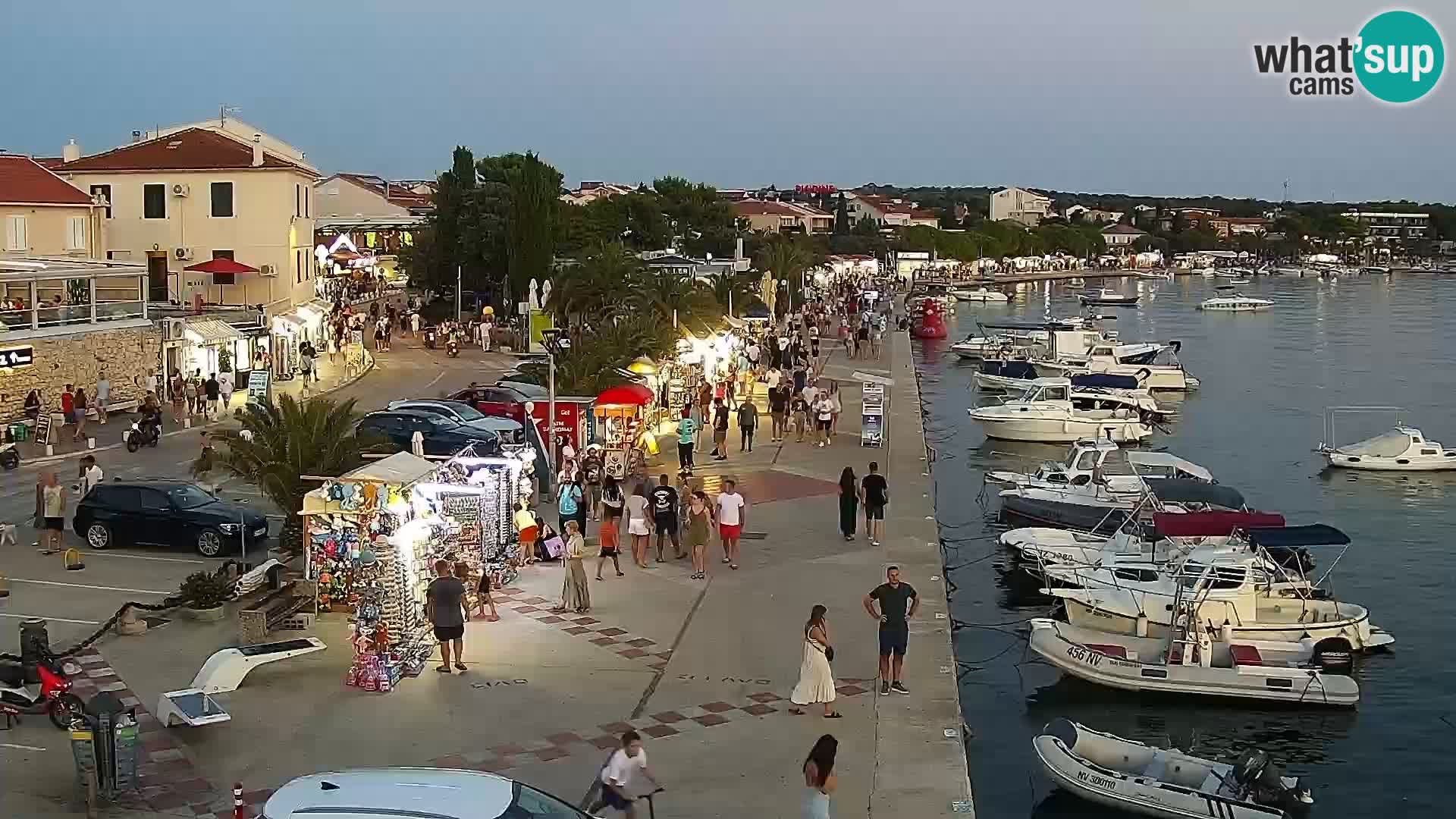 Promenade en Novalia Camera en vivo