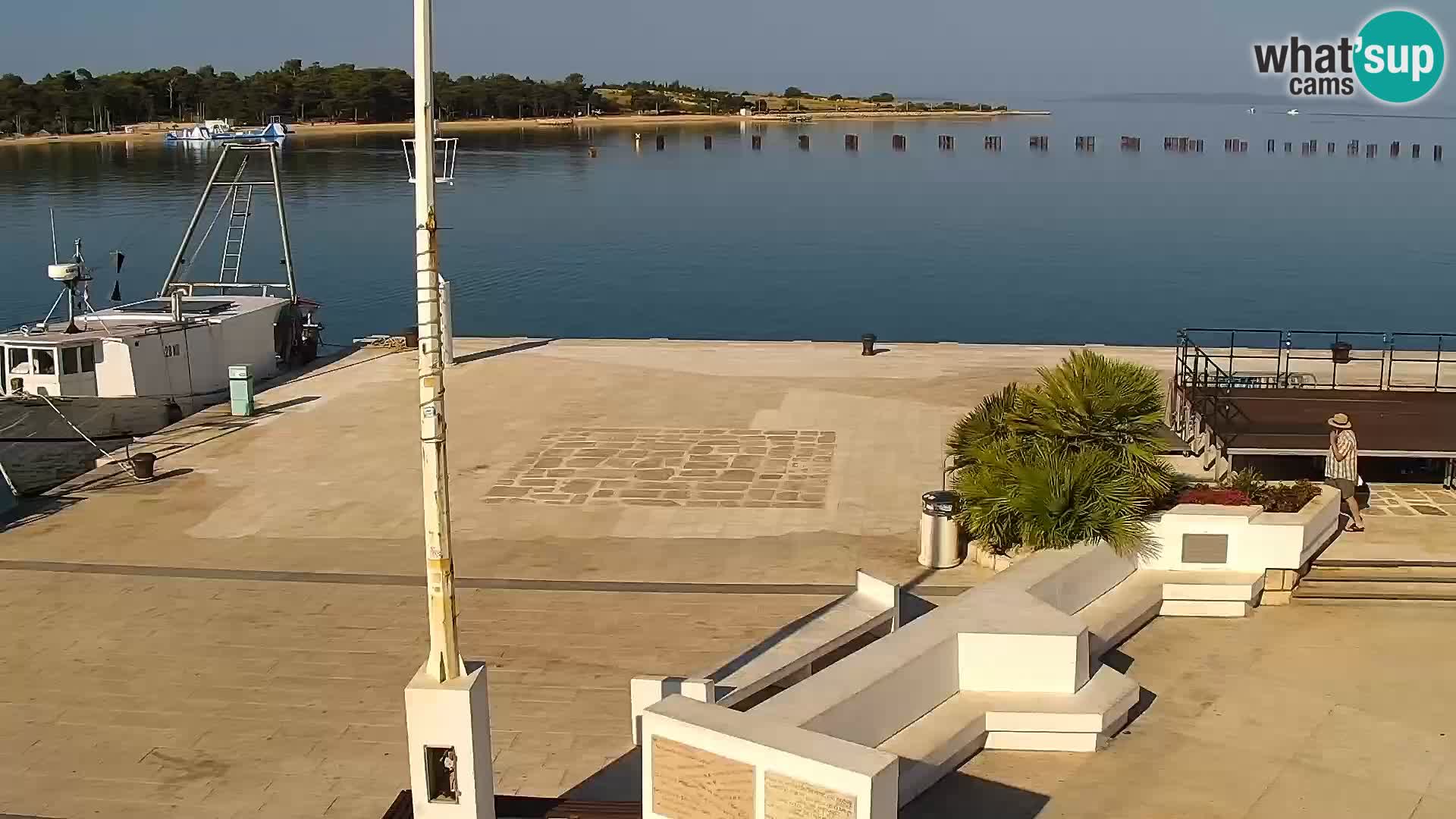 Promenade en Novalia Camera en vivo