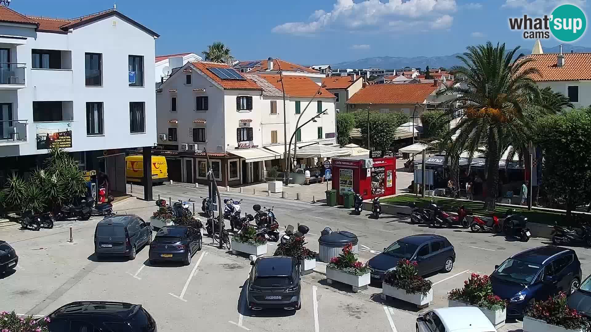 Promenade en Novalia Camera en vivo