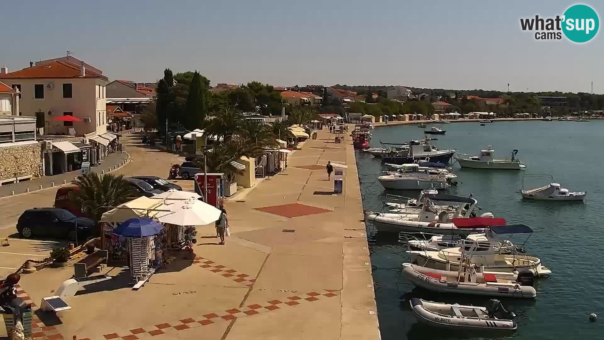 Promenade en Novalia Camera en vivo