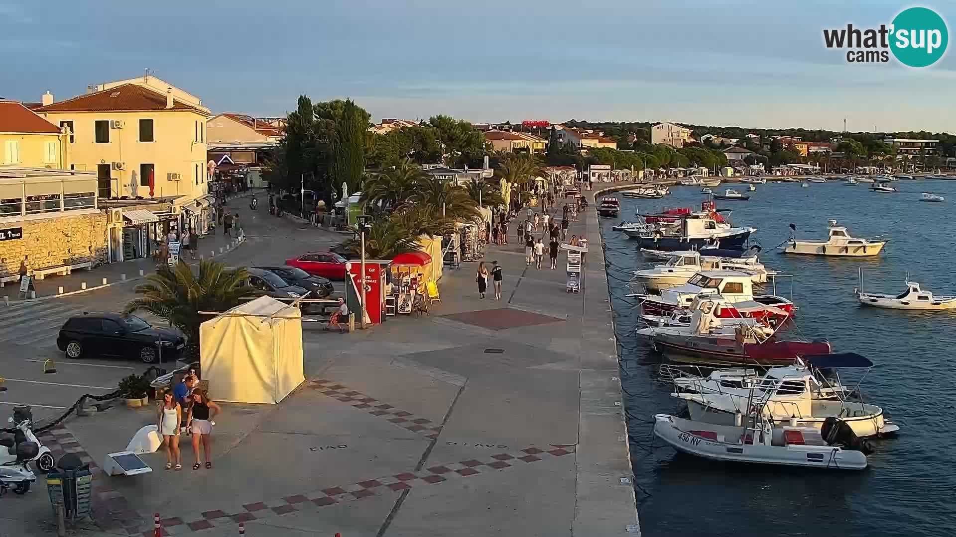 Promenade en Novalia Camera en vivo