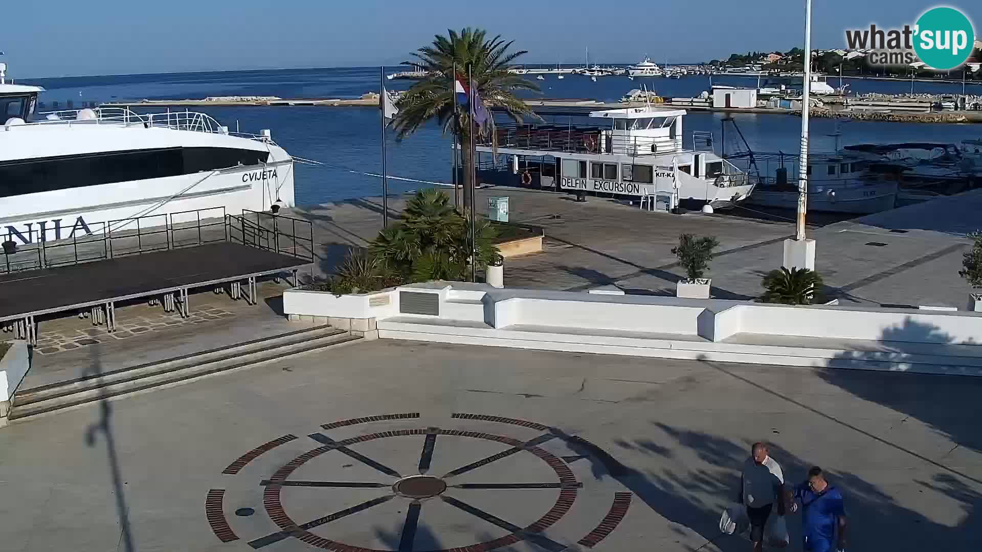 Promenade en Novalia Camera en vivo