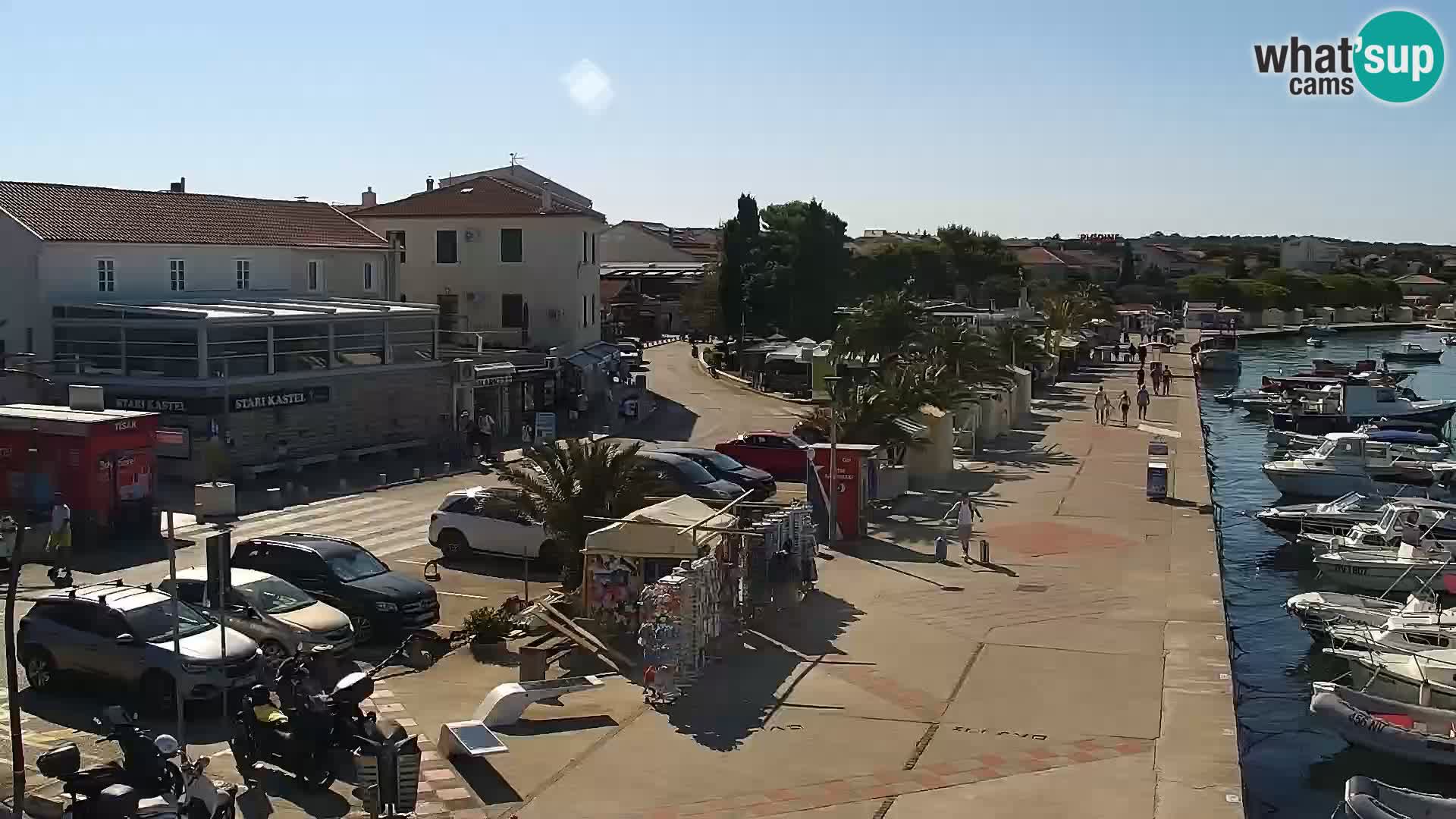 Promenade en Novalia Camera en vivo