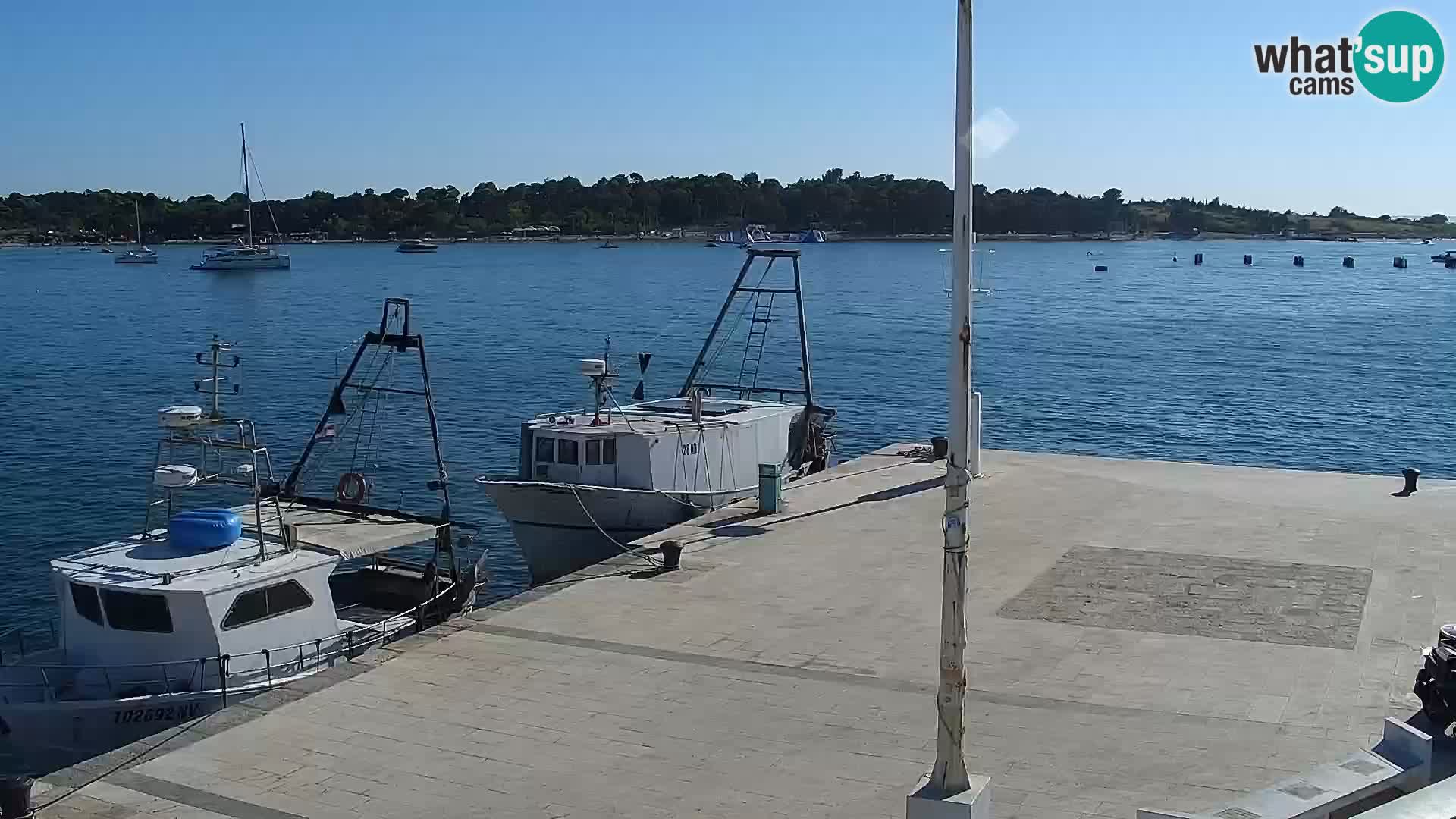 Novalja Livecam promenade