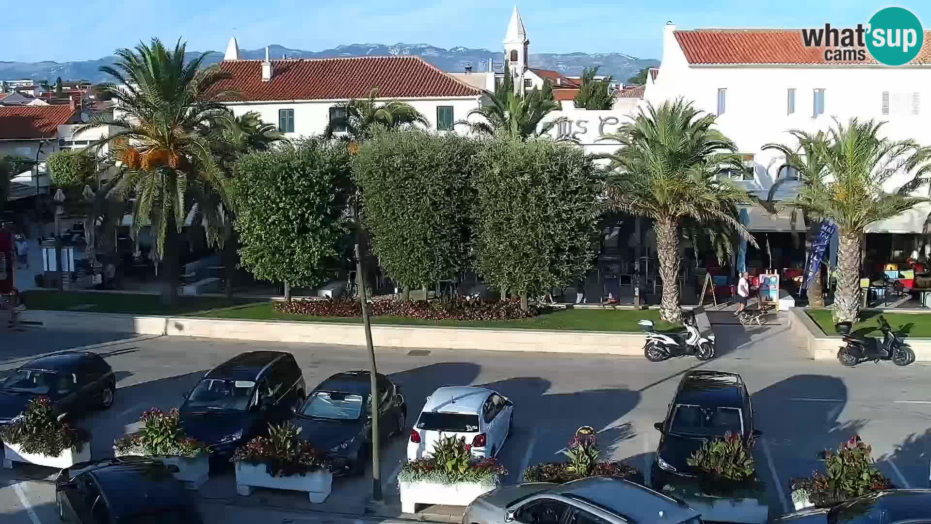 Promenade en Novalia Camera en vivo