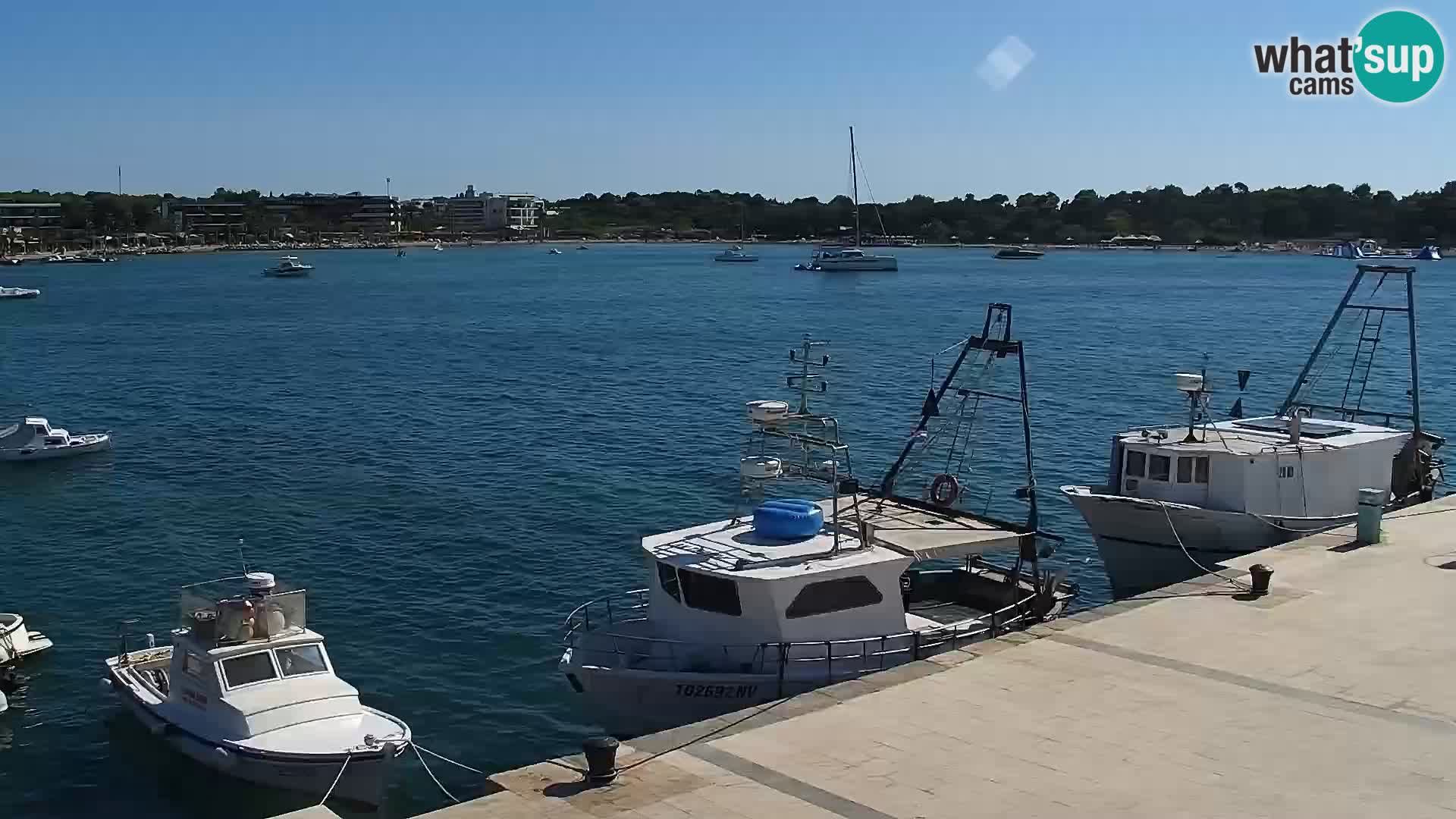 Webcam Novalja seaside promenade