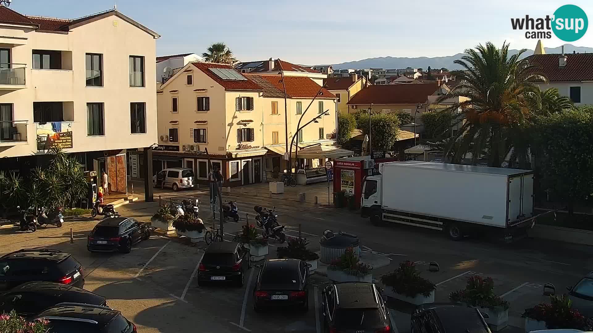 Promenade en Novalia Camera en vivo