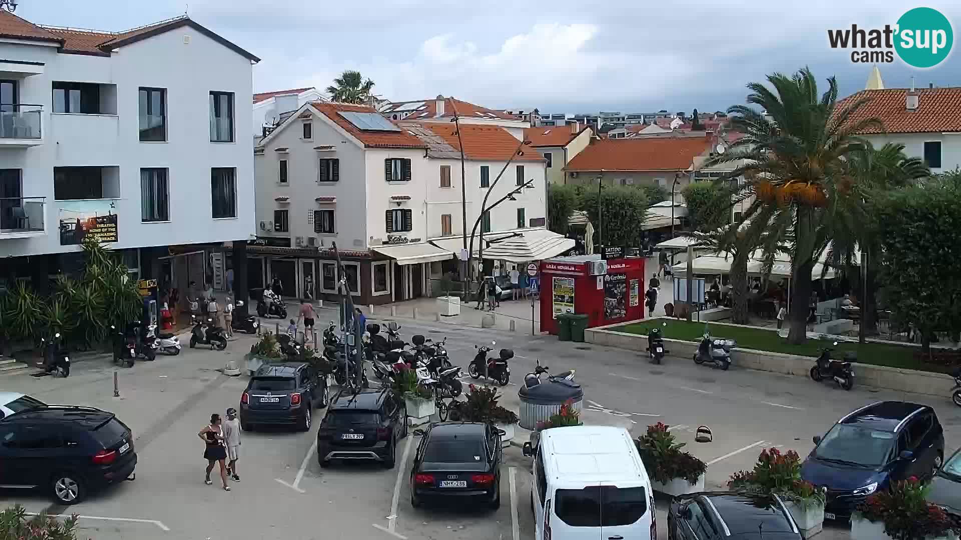 Promenade en Novalia Camera en vivo