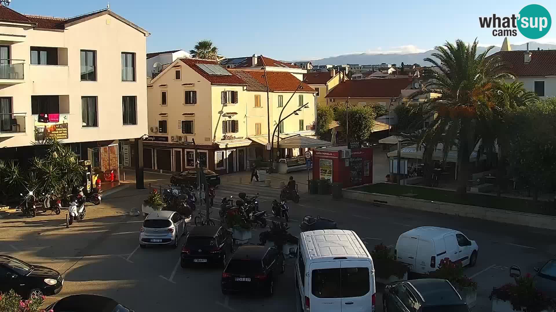 Promenade en Novalia Camera en vivo