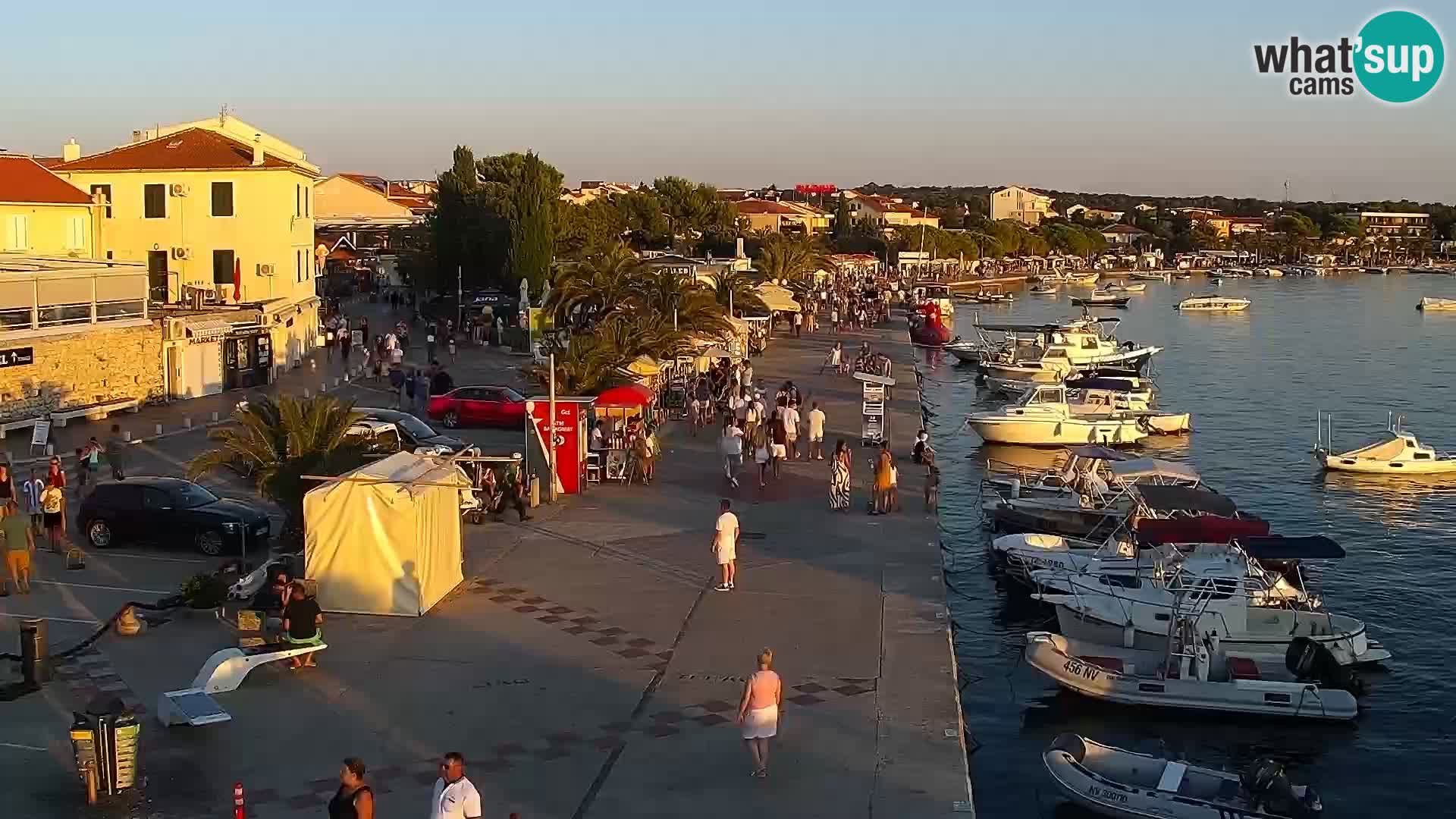 Promenade en Novalia Camera en vivo