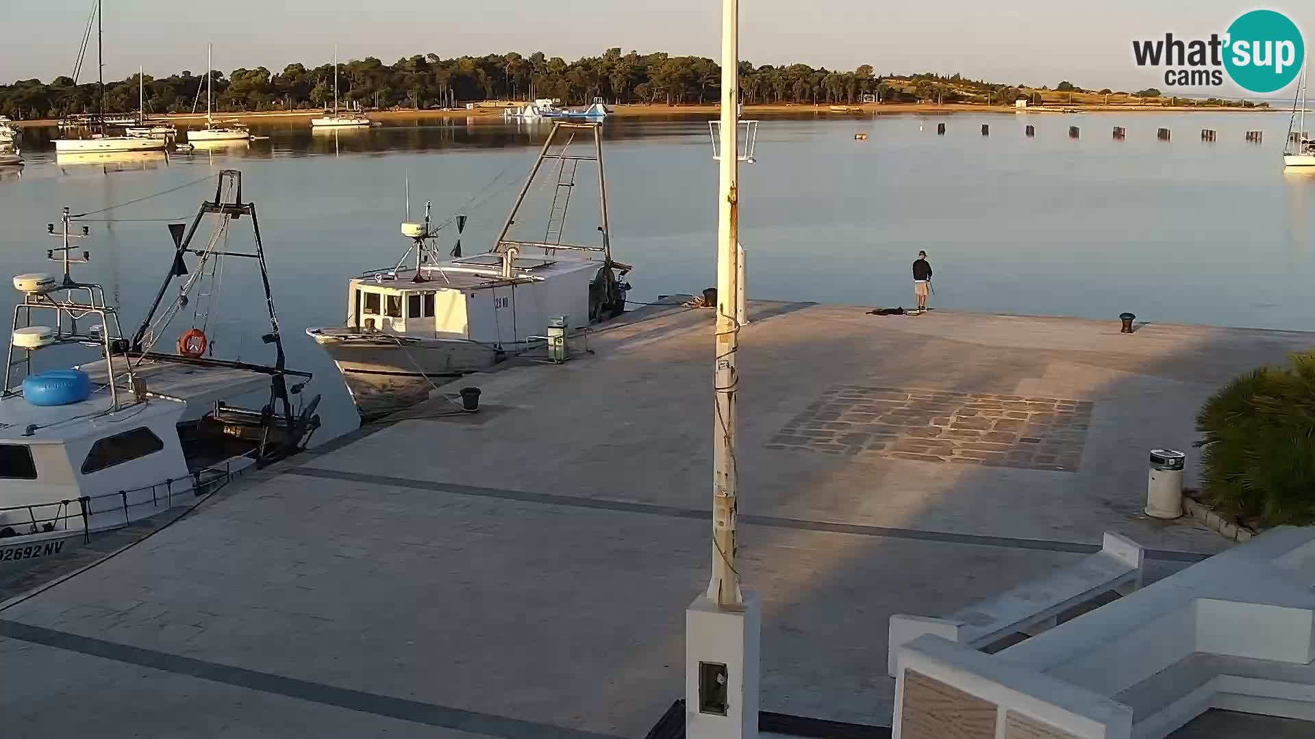 Livecam Promenade a Novalja