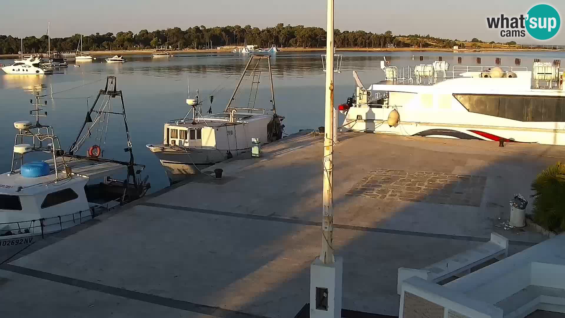 Live webcam Novaglia lungomare