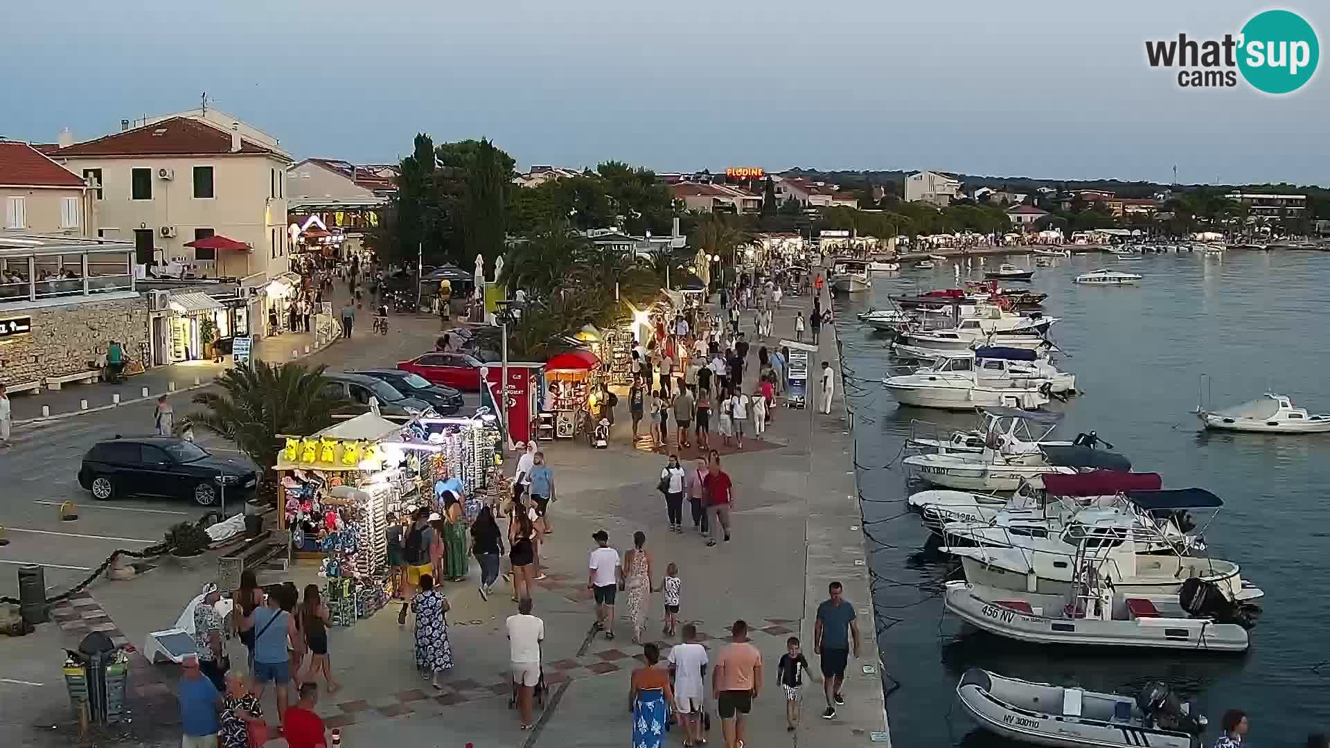 Promenade en Novalia Camera en vivo