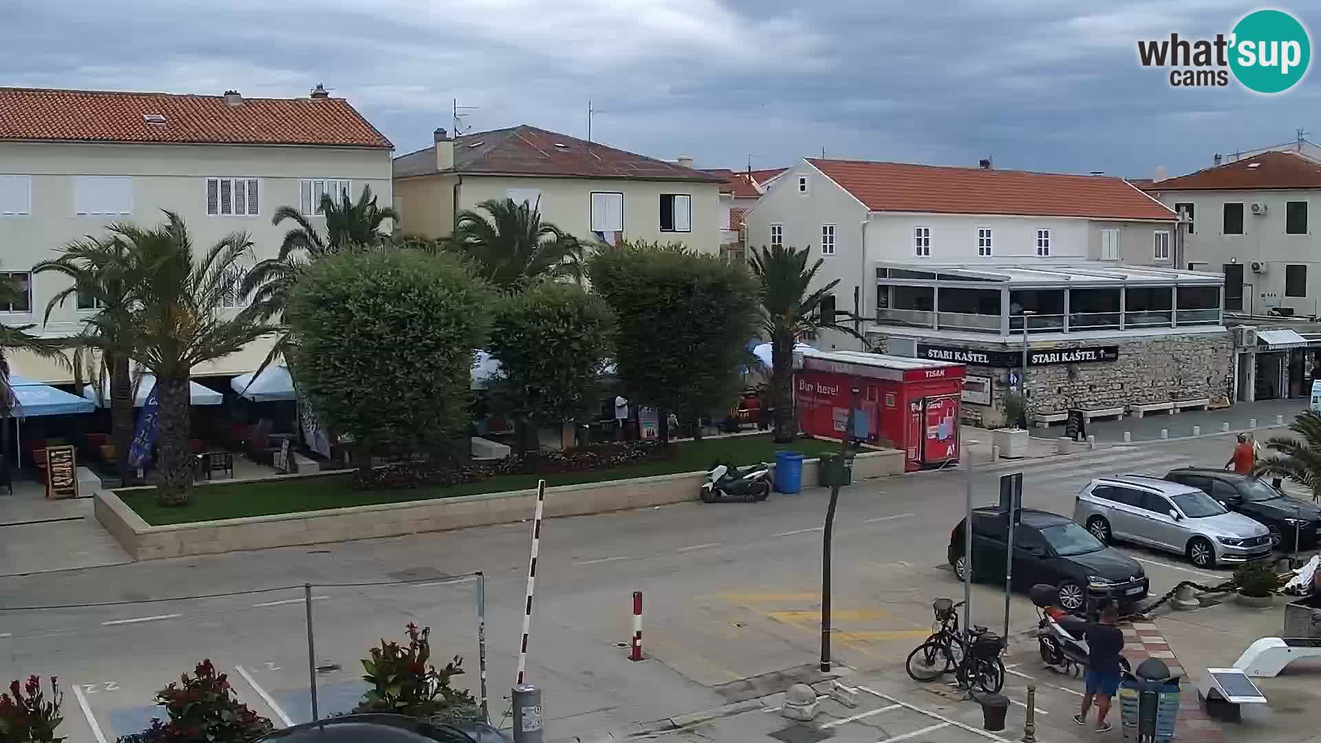 Promenade en Novalia Camera en vivo