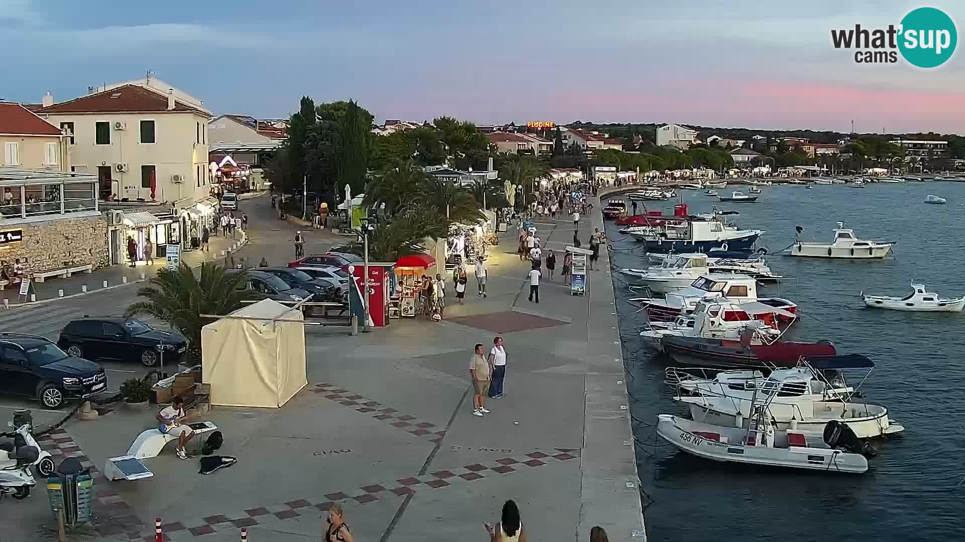 Promenade en Novalia Camera en vivo