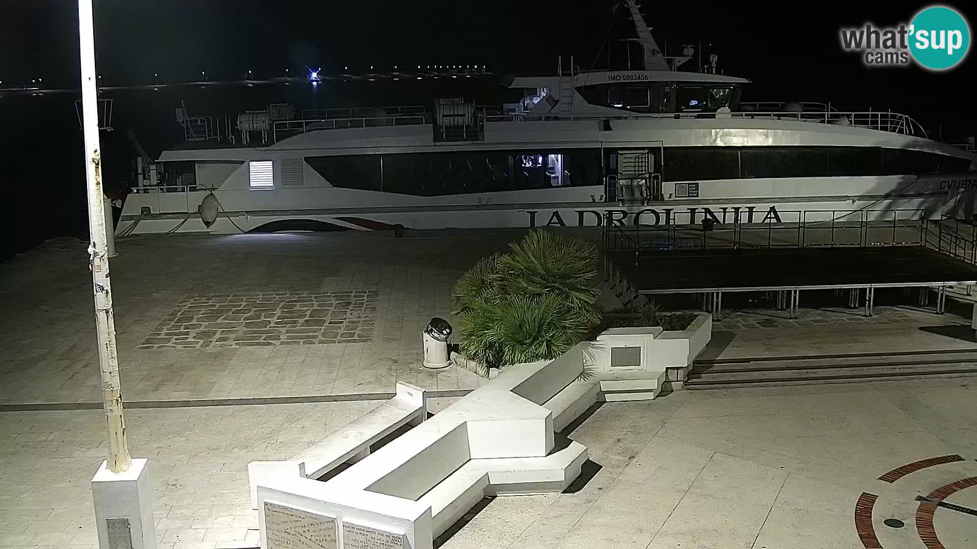 Promenade en Novalia Camera en vivo