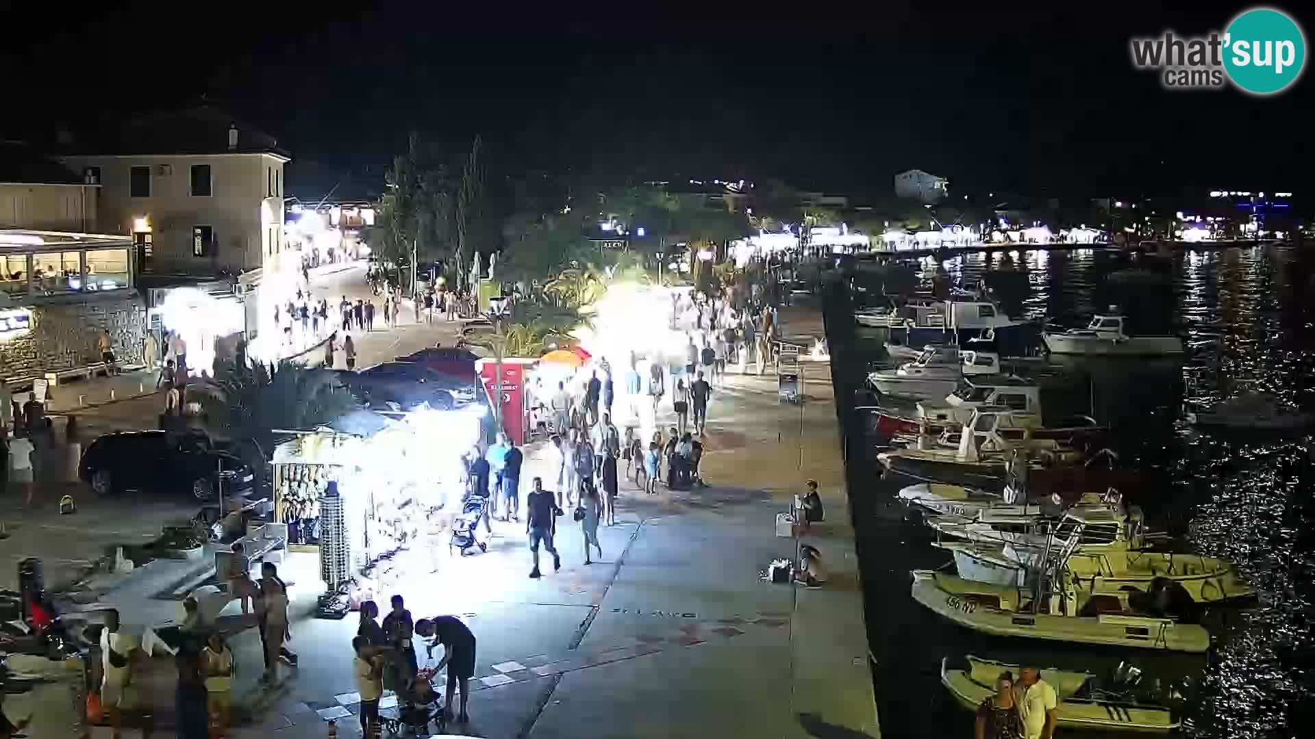 Promenade en Novalia Camera en vivo