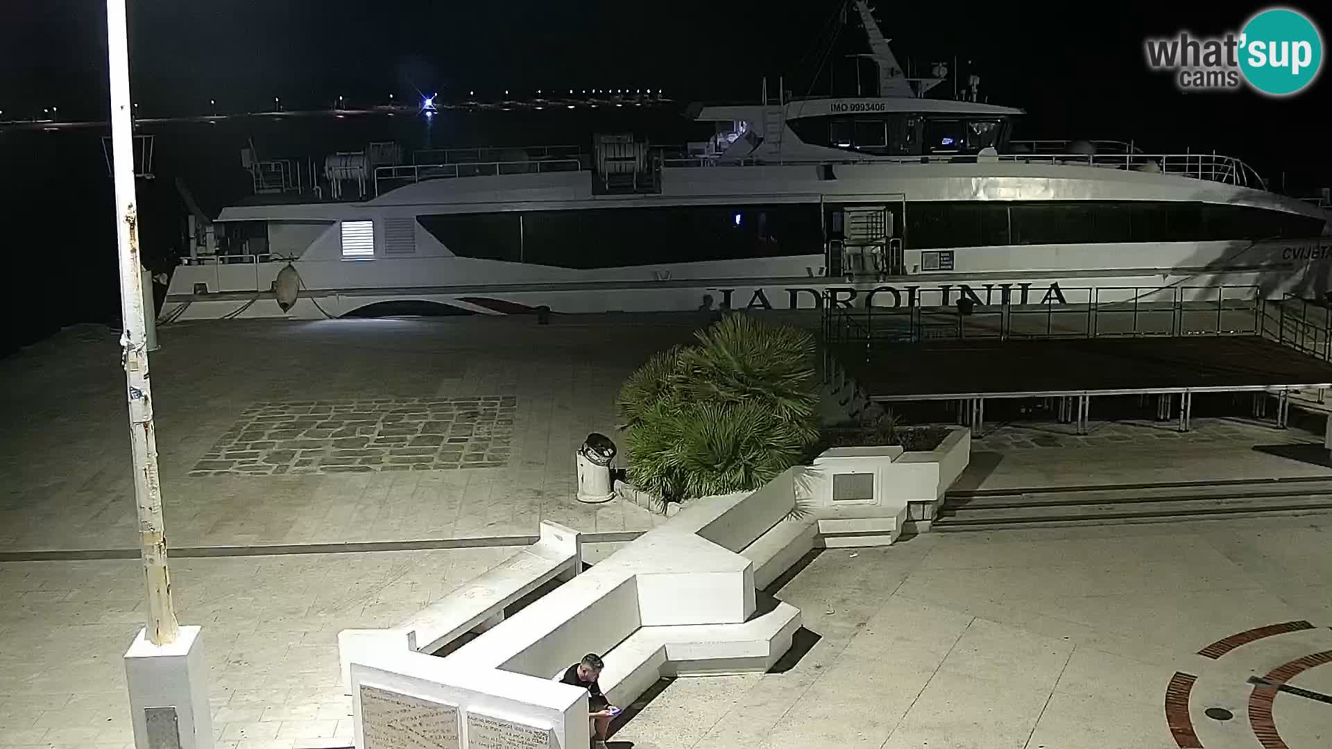 Promenade en Novalia Camera en vivo