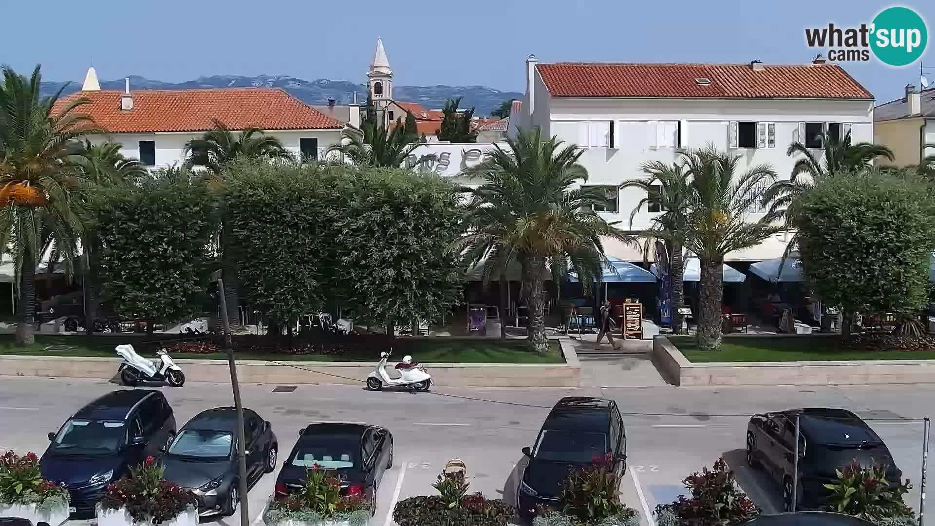 Promenade en Novalia Camera en vivo