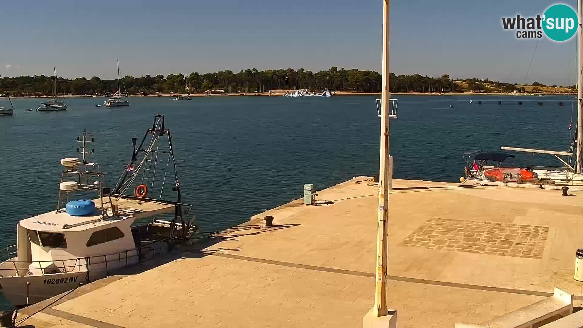 Novalja spletna kamera promenada