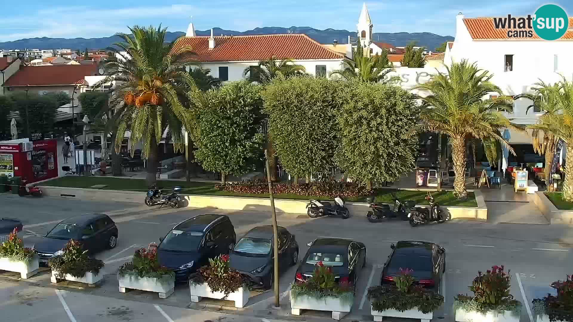 Promenade en Novalia Camera en vivo
