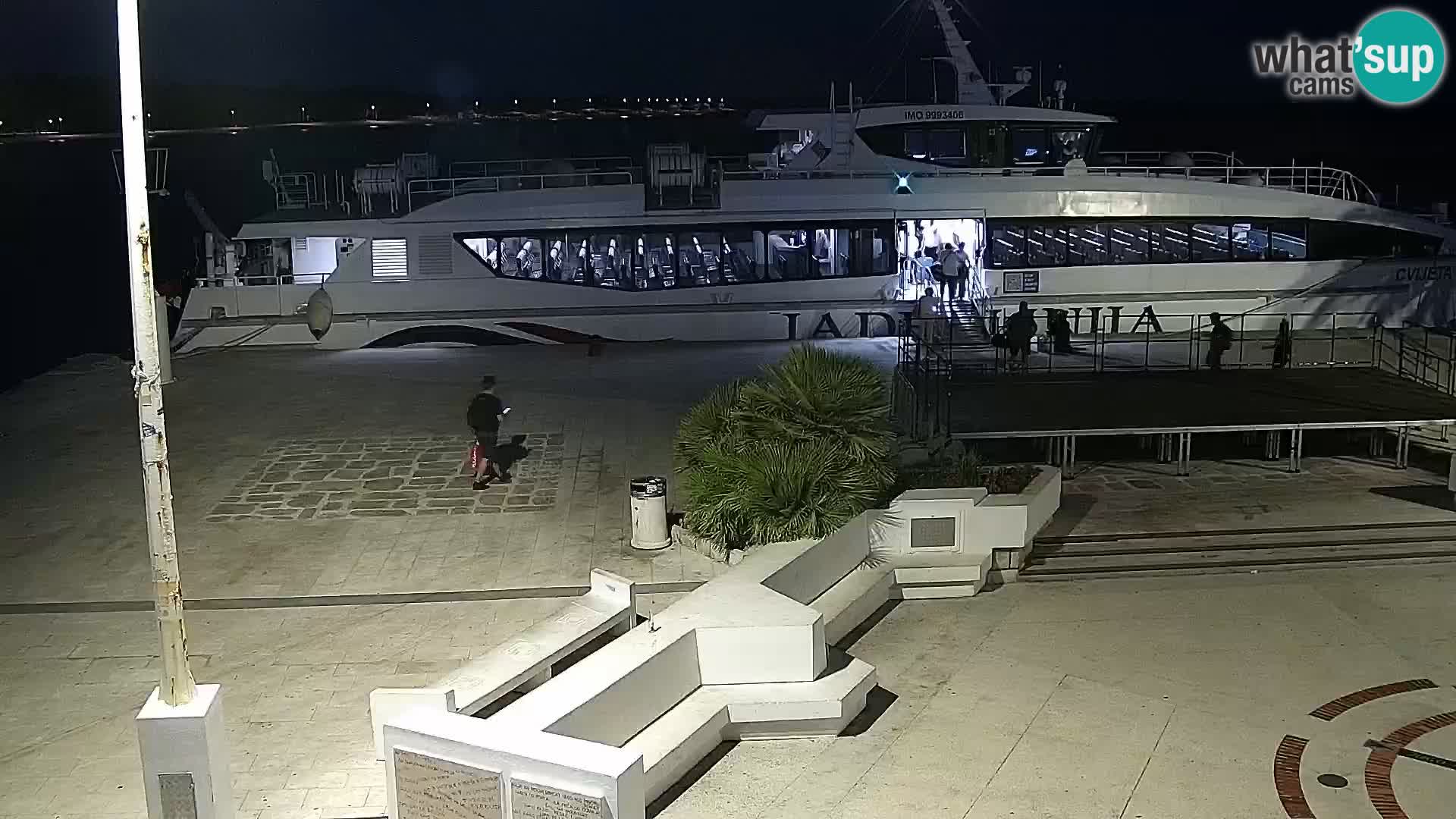Promenade en Novalia Camera en vivo