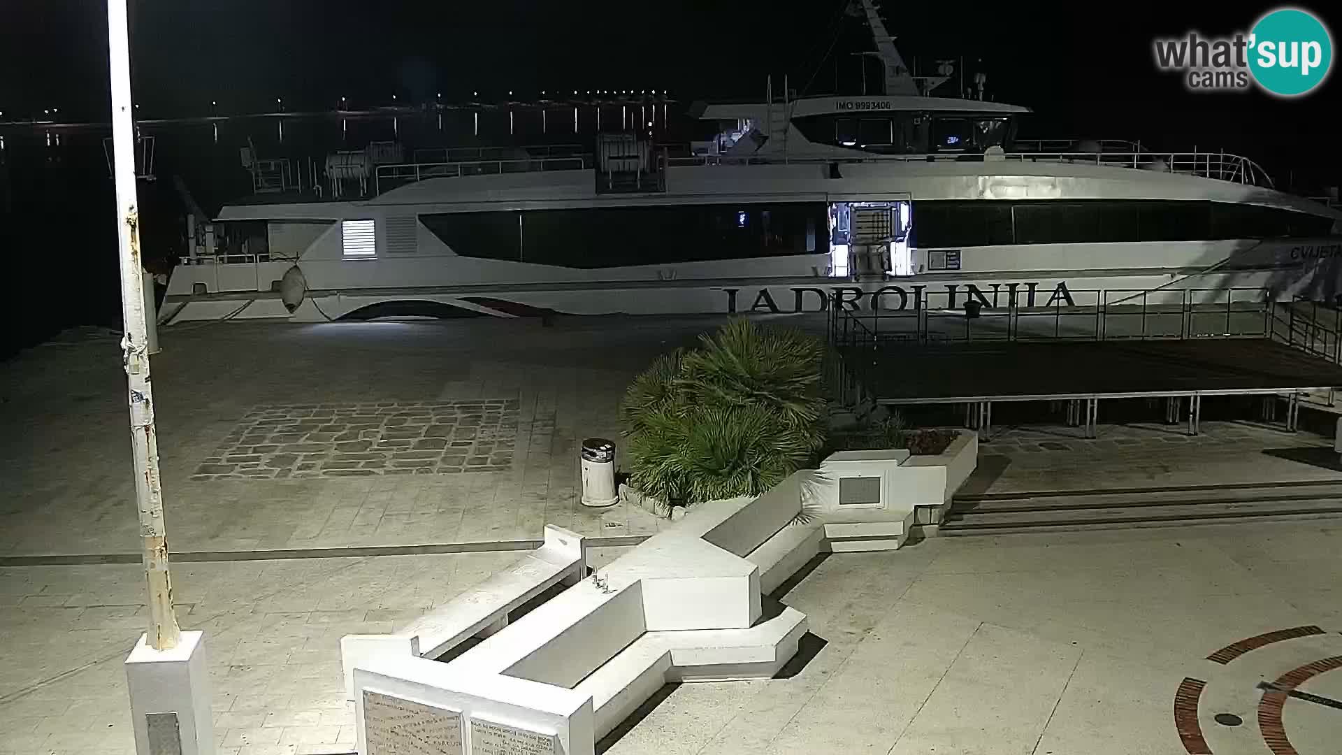 Promenade en Novalia Camera en vivo