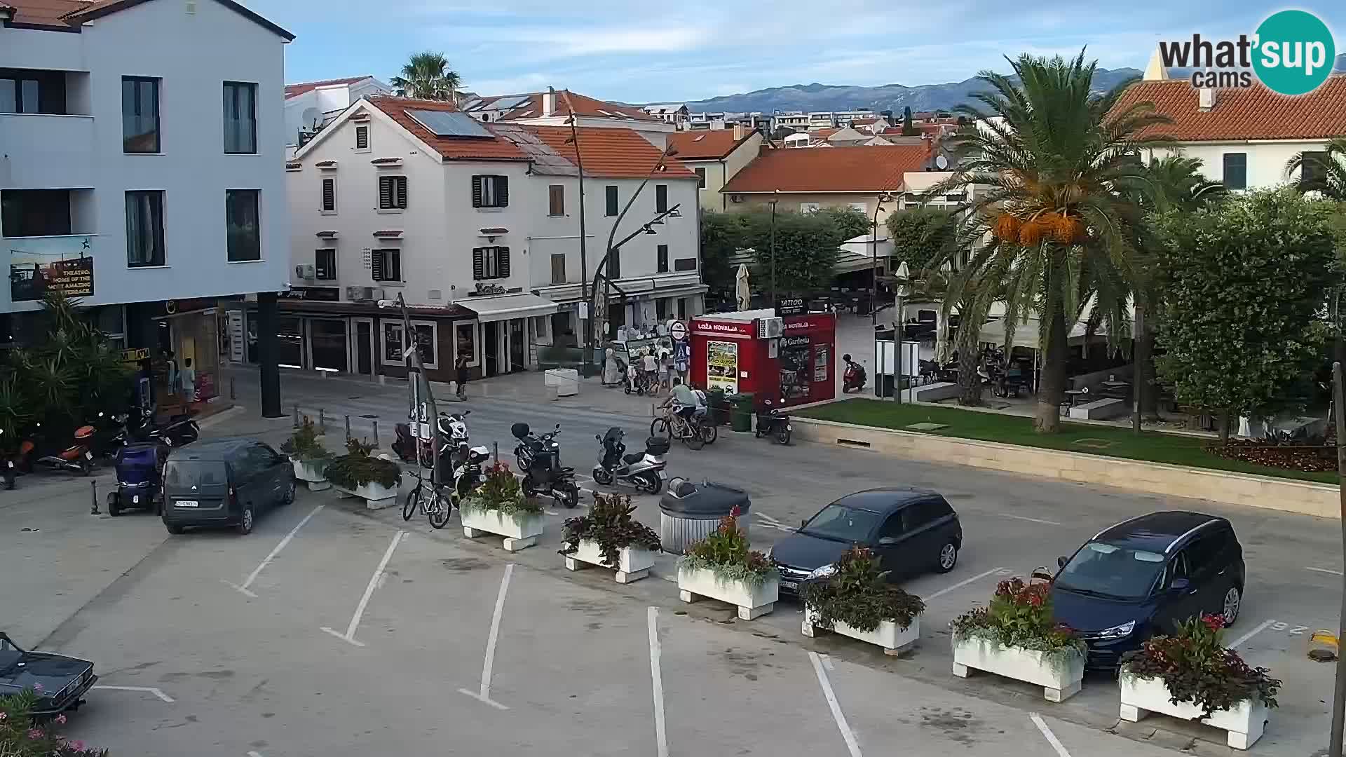 Promenade en Novalia Camera en vivo