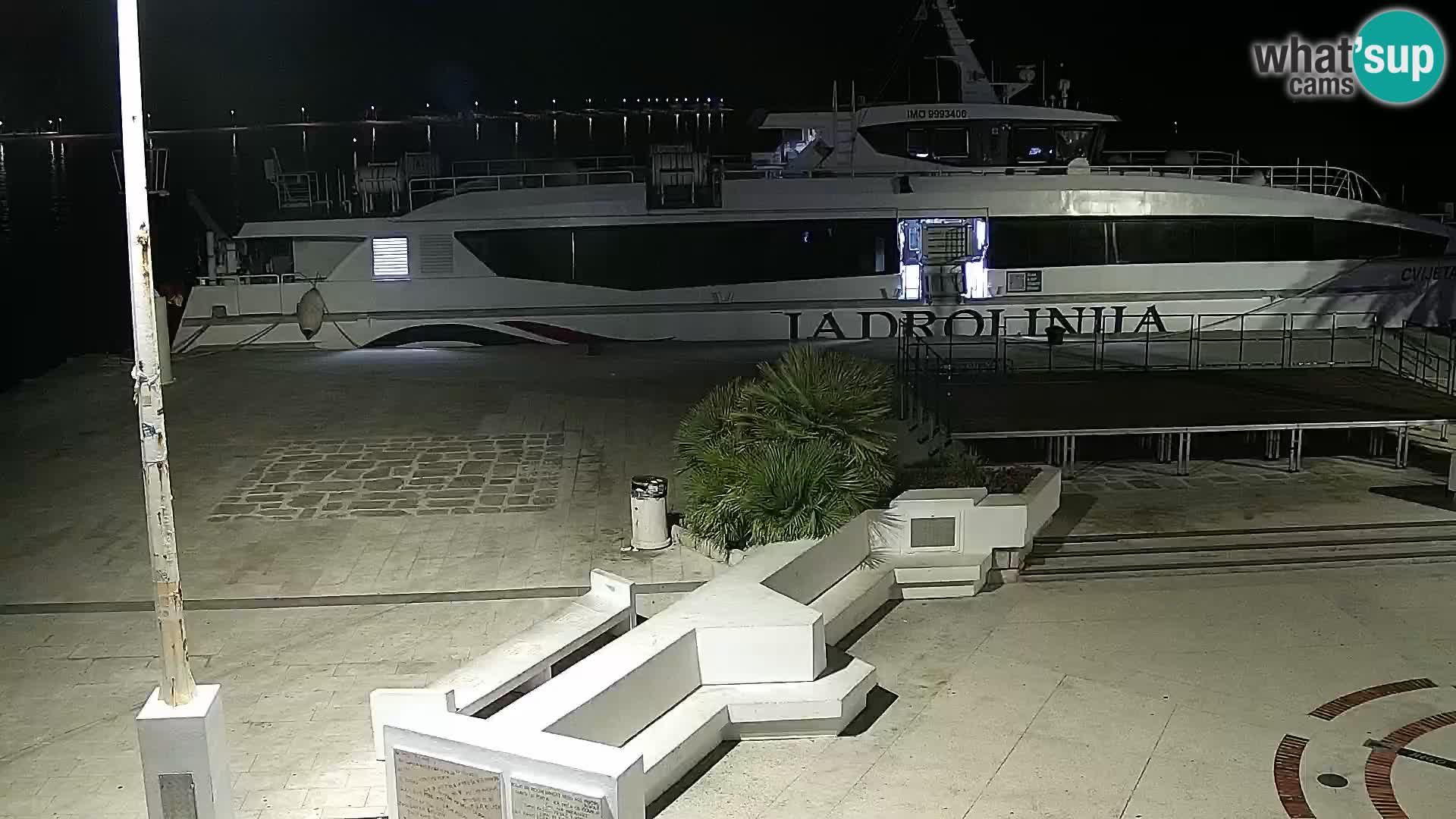 Promenade en Novalia Camera en vivo