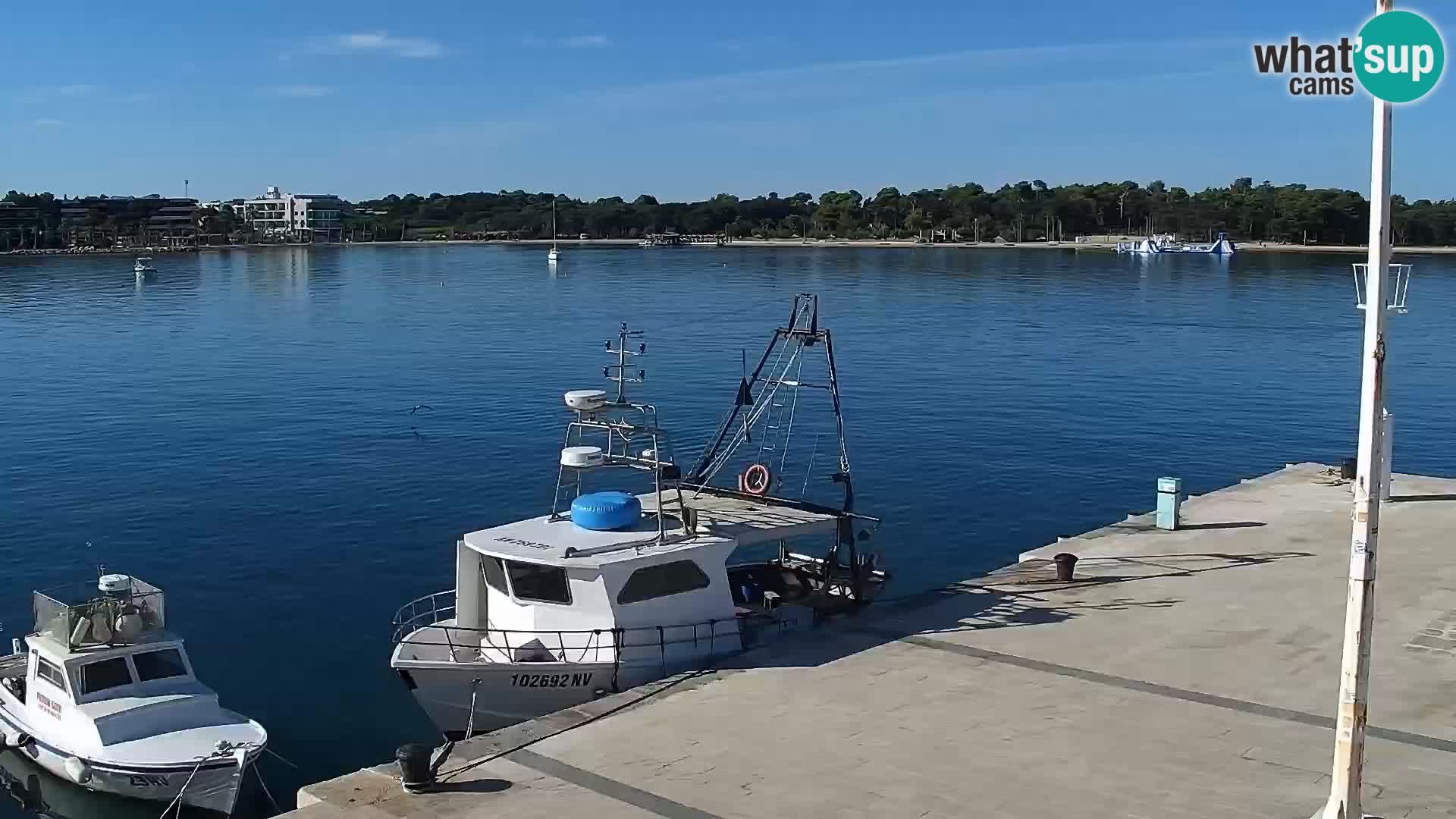 Live webcam Novaglia lungomare