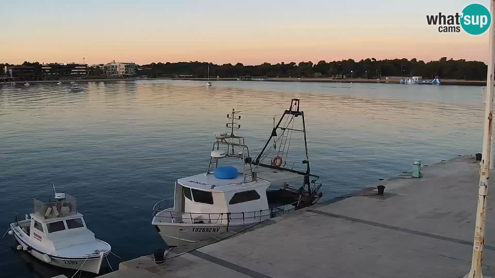 Livecam Promenade a Novalja