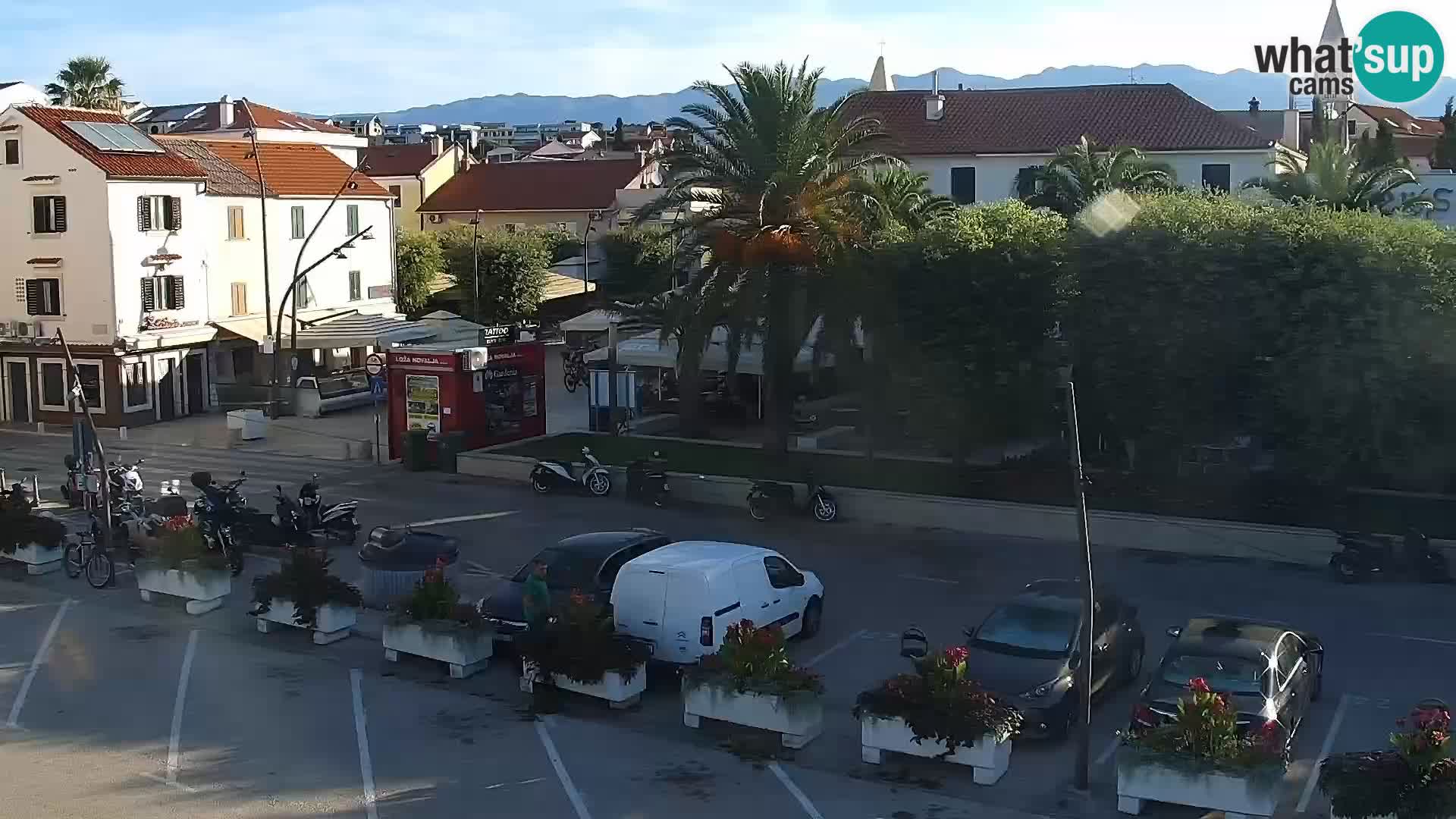 Promenade en Novalia Camera en vivo