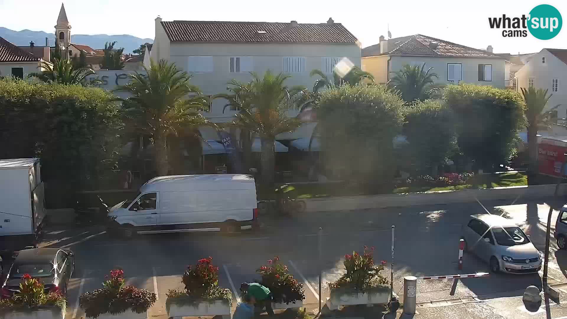 Promenade en Novalia Camera en vivo