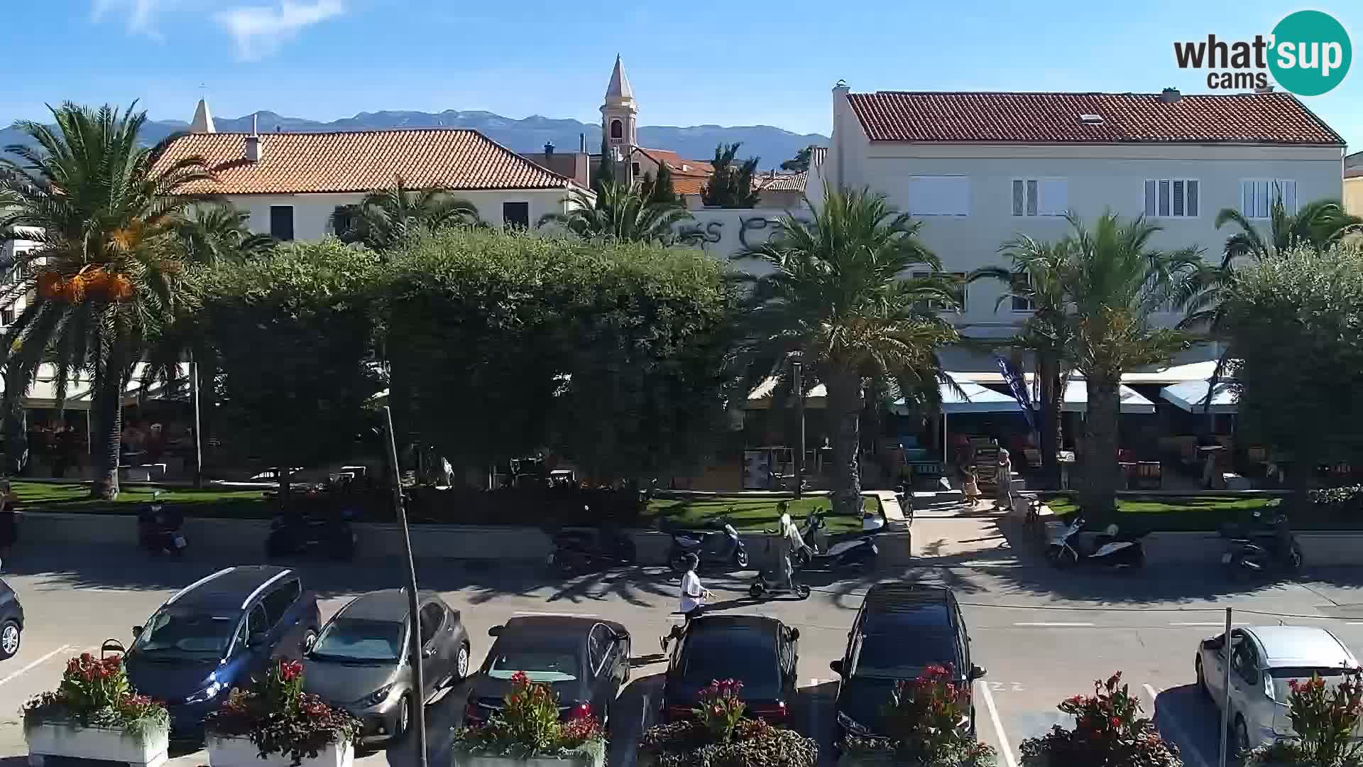 Webcam Novalja seaside promenade