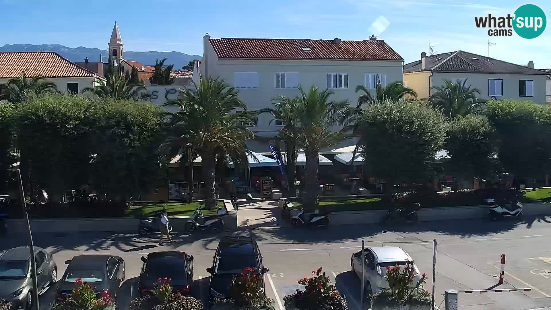 Promenade en Novalia Camera en vivo