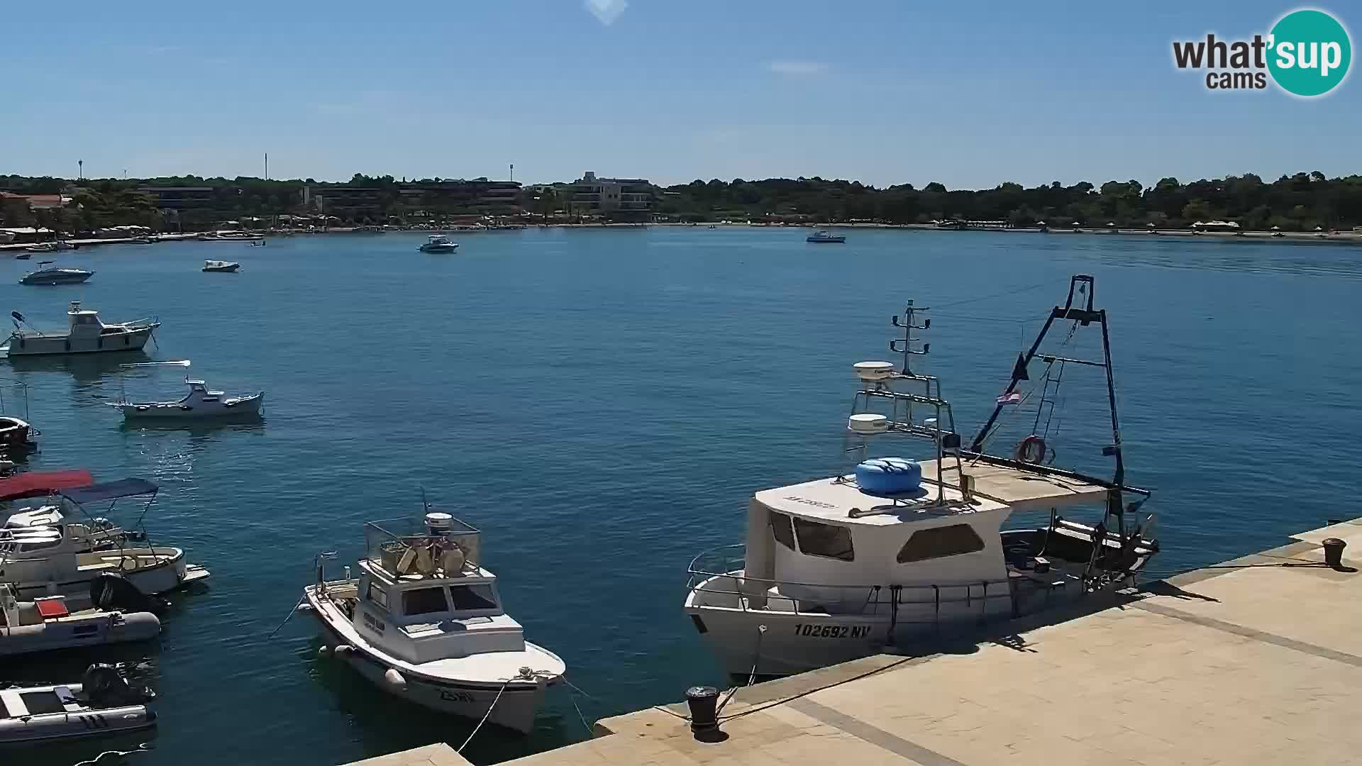 Novalja Livecam promenade