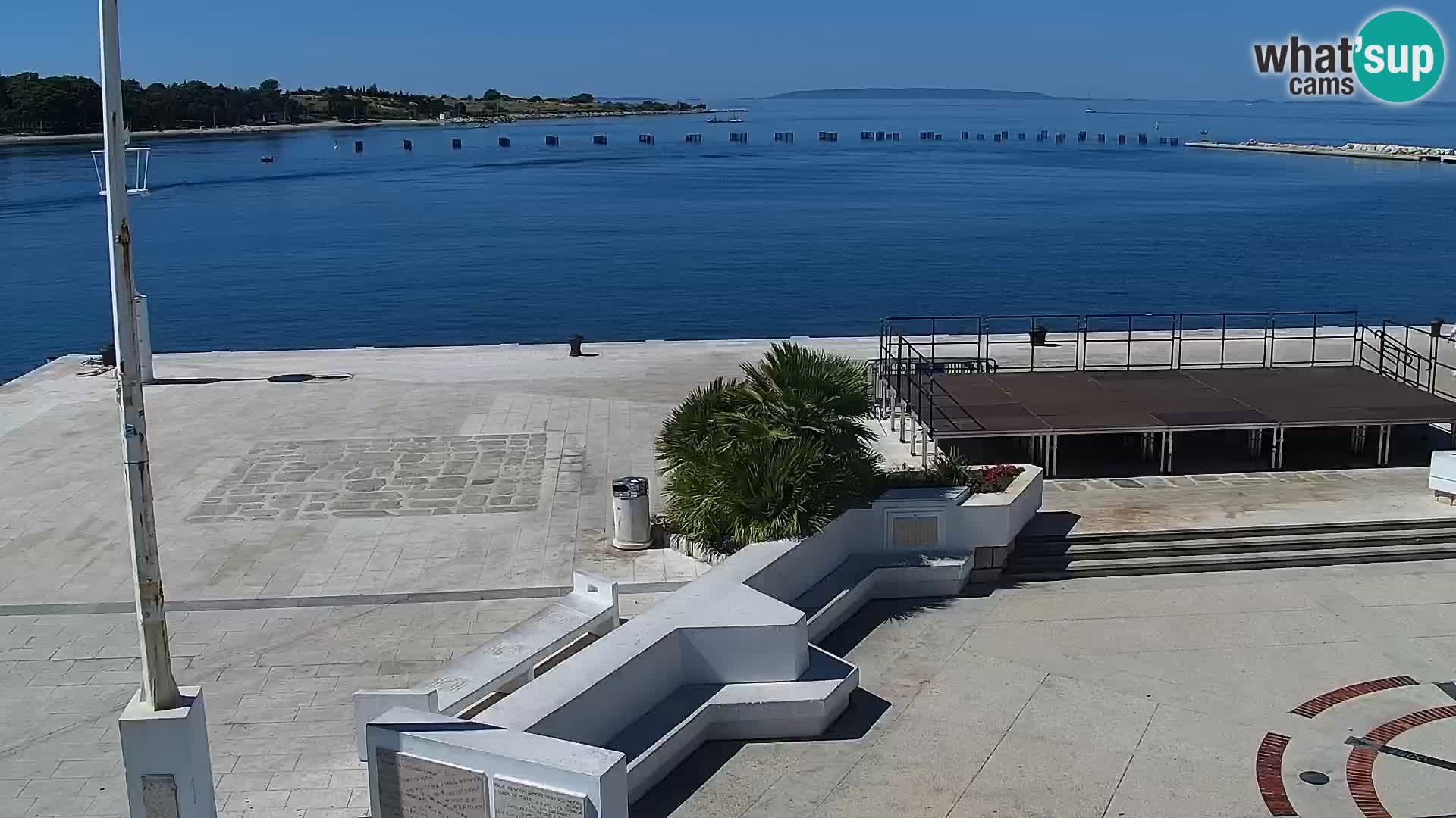 Promenade en Novalia Camera en vivo