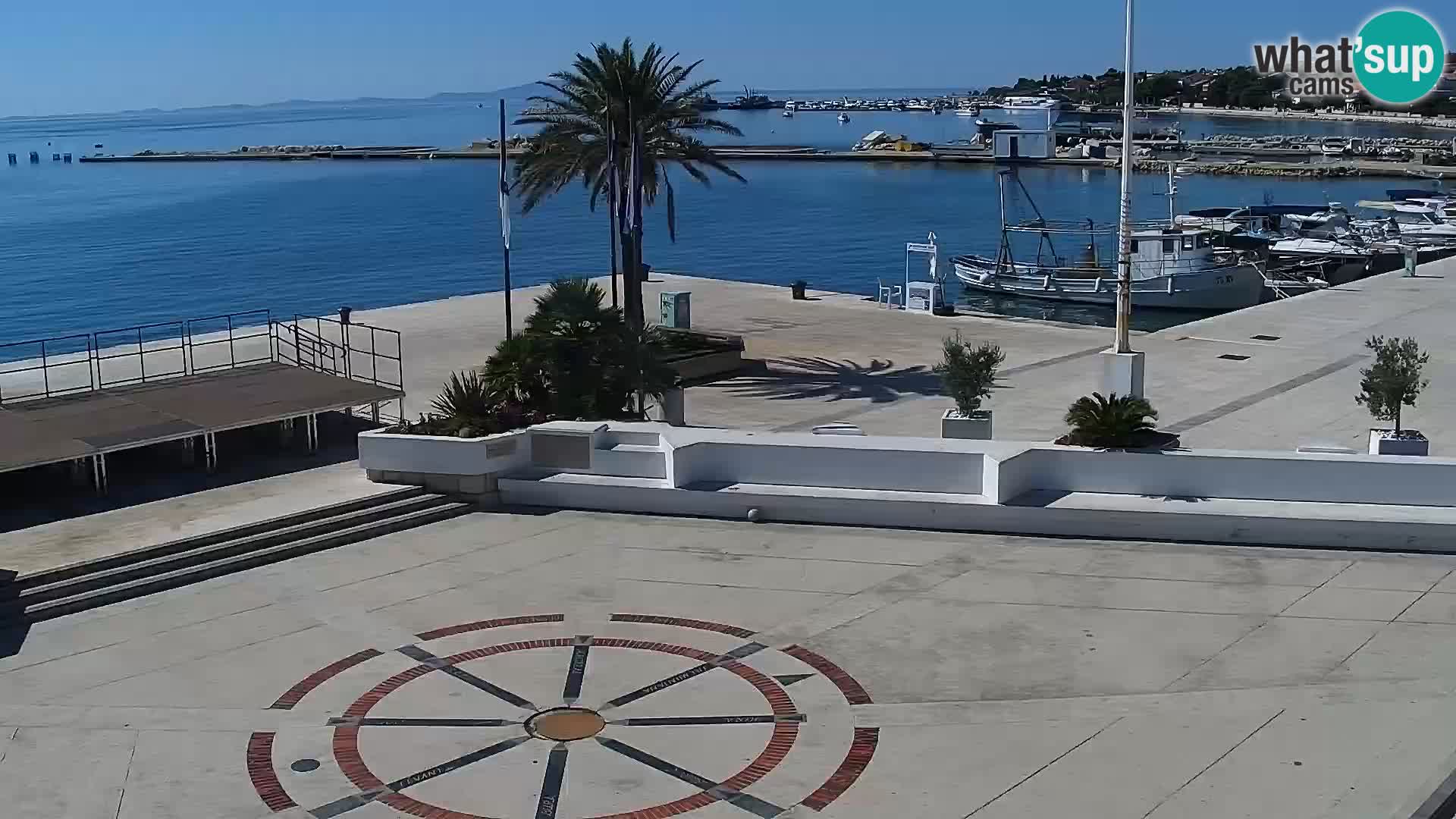 Promenade en Novalia Camera en vivo