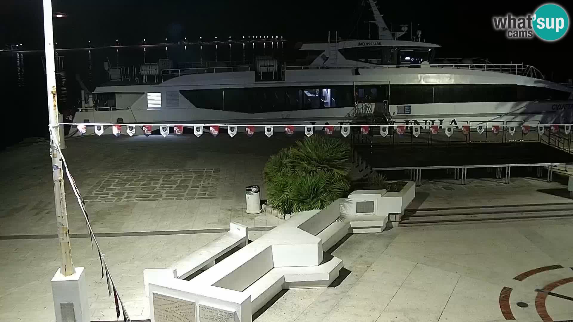 Promenade en Novalia Camera en vivo