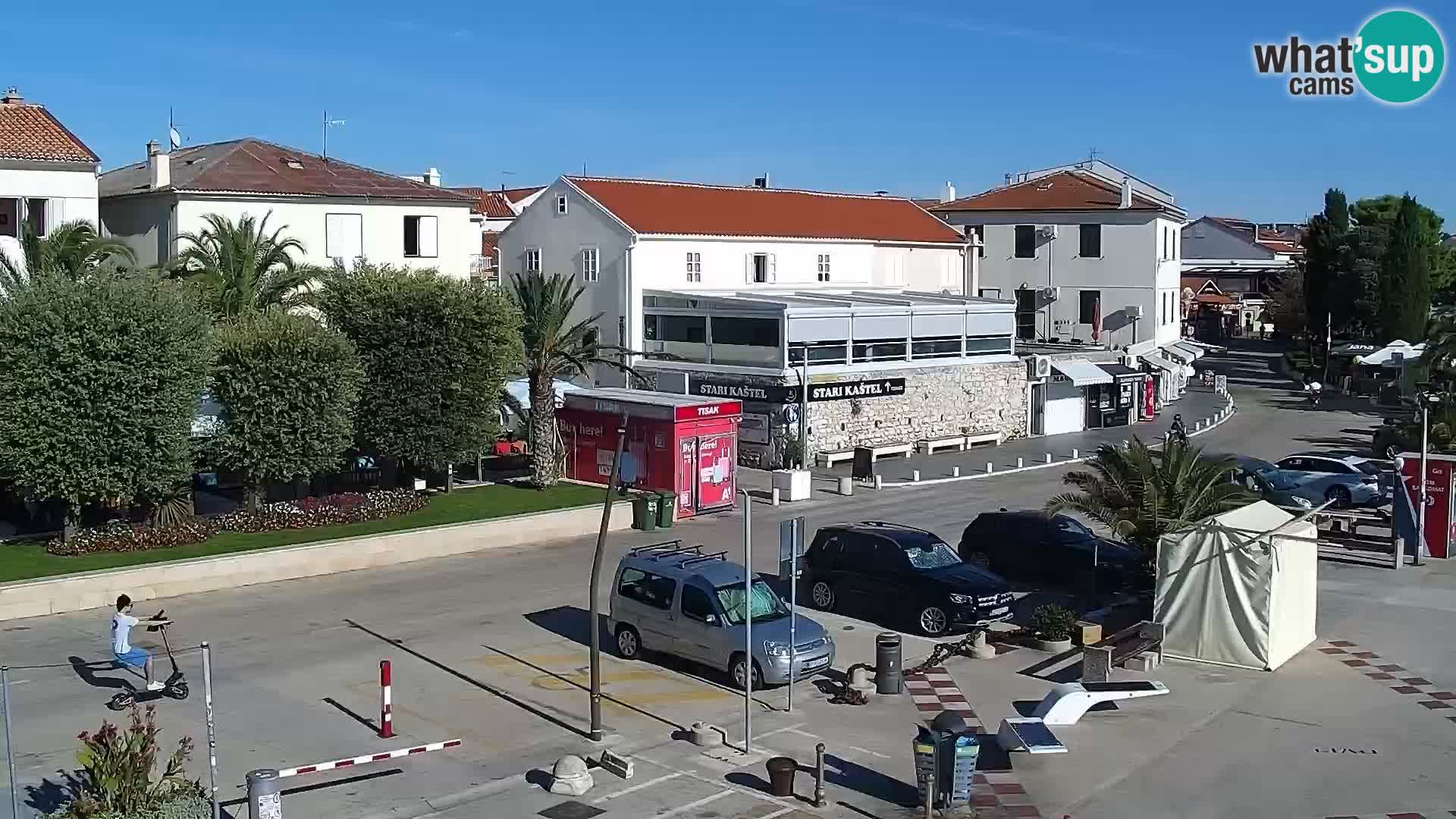 Promenade en Novalia Camera en vivo