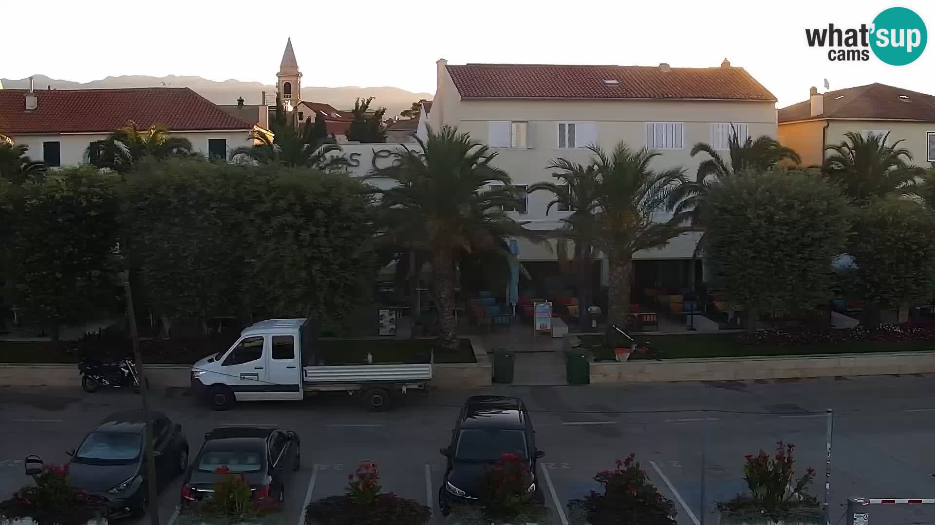 Promenade en Novalia Camera en vivo