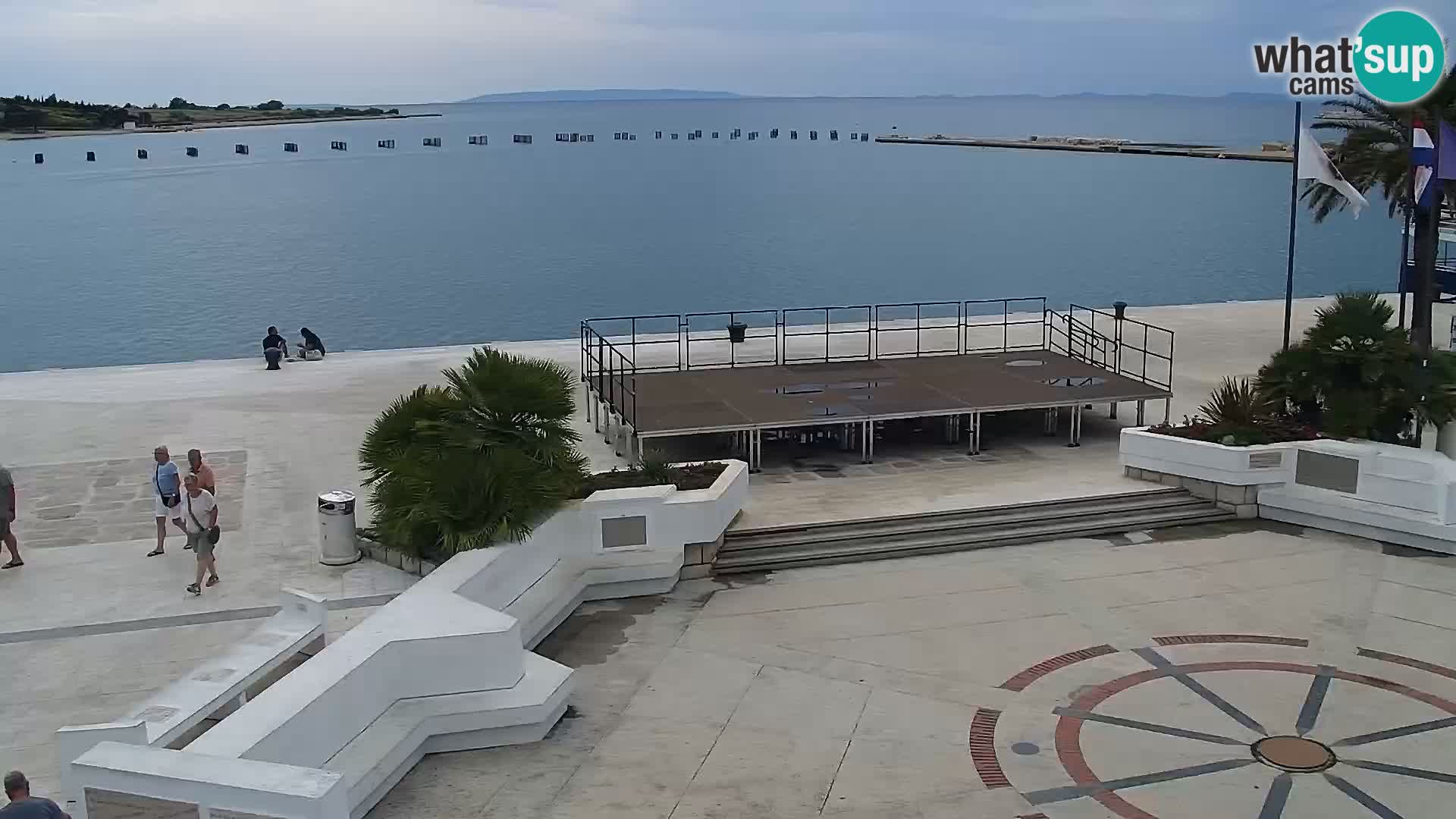 Promenade en Novalia Camera en vivo