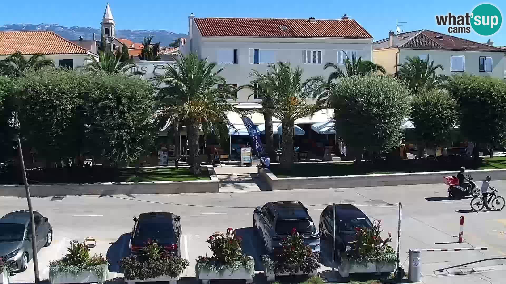 Promenade en Novalia Camera en vivo