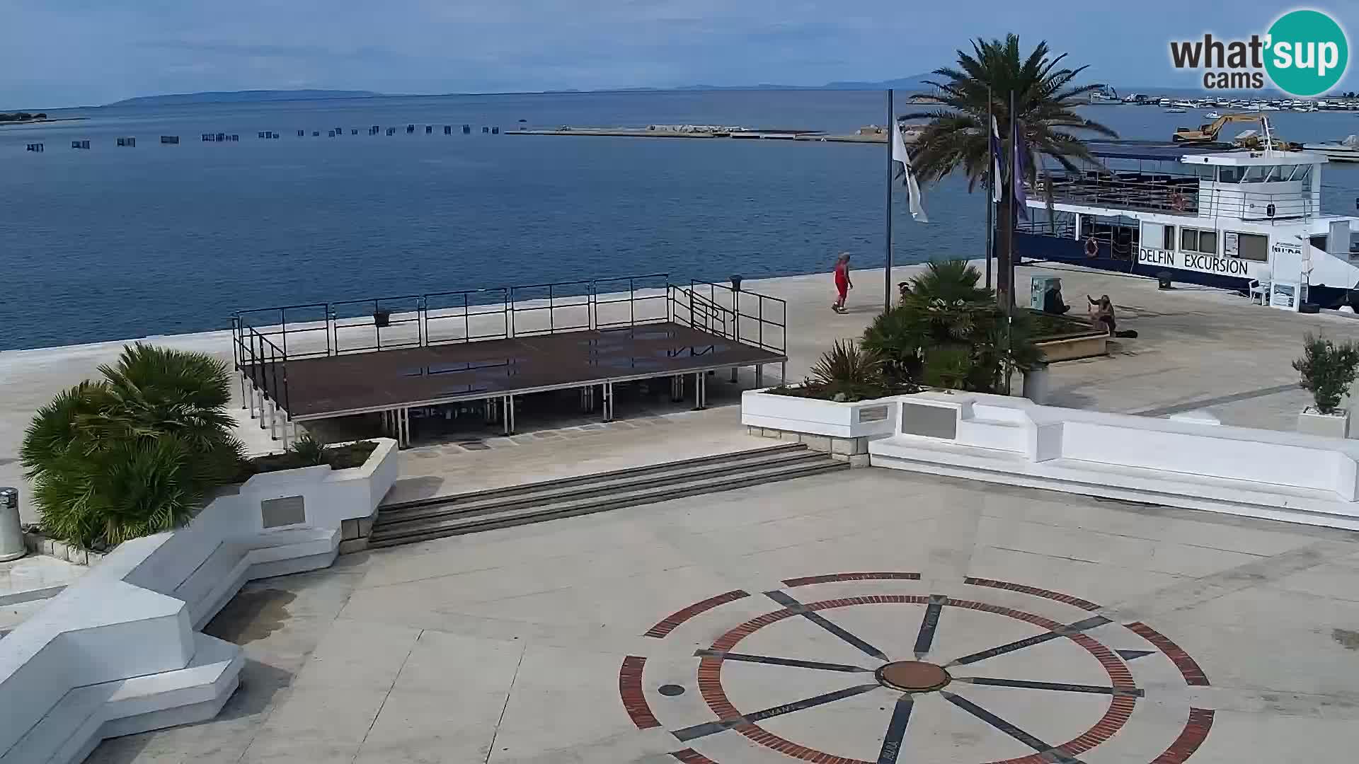 Promenade en Novalia Camera en vivo
