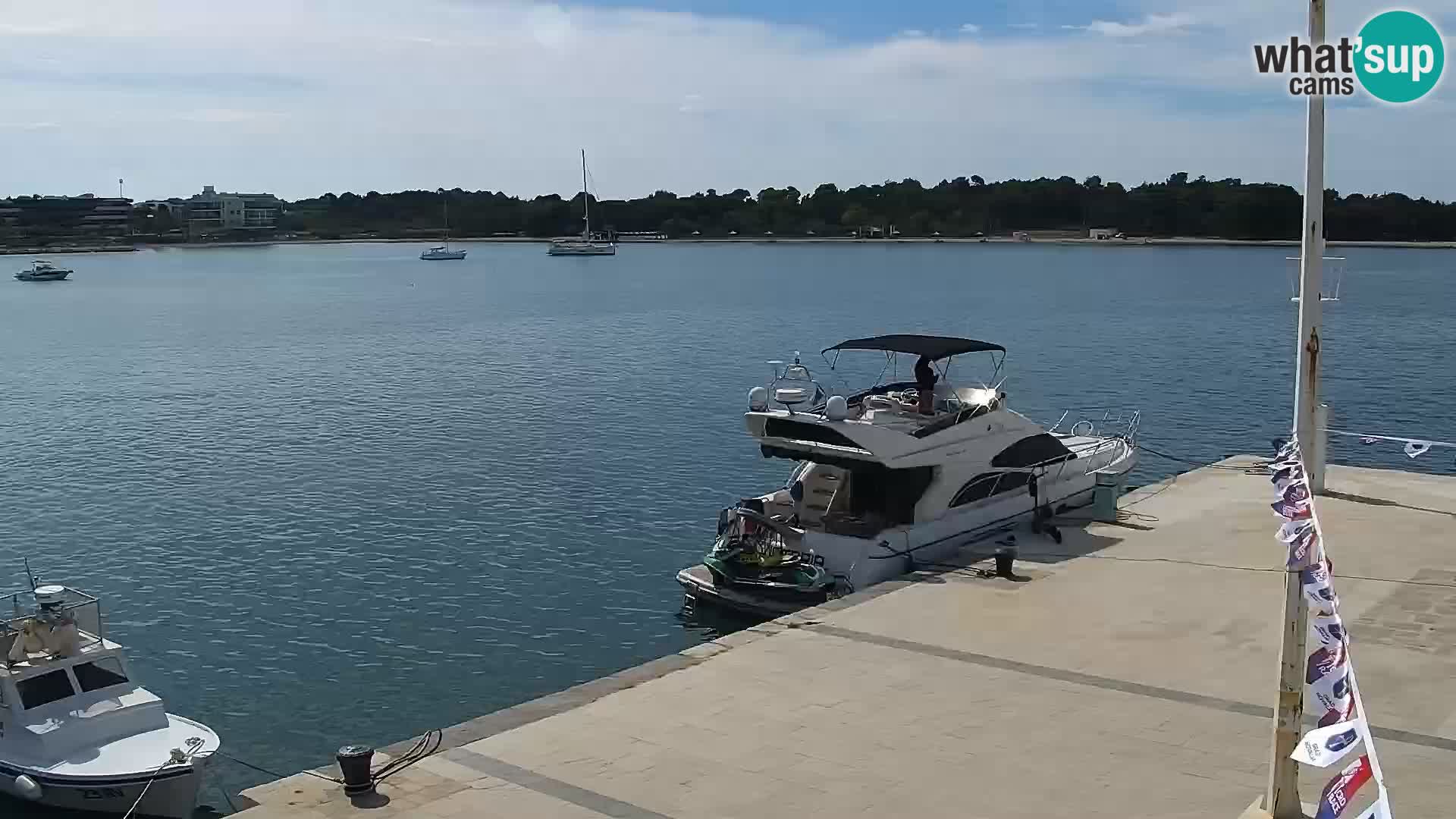 Webcam Novalja seaside promenade