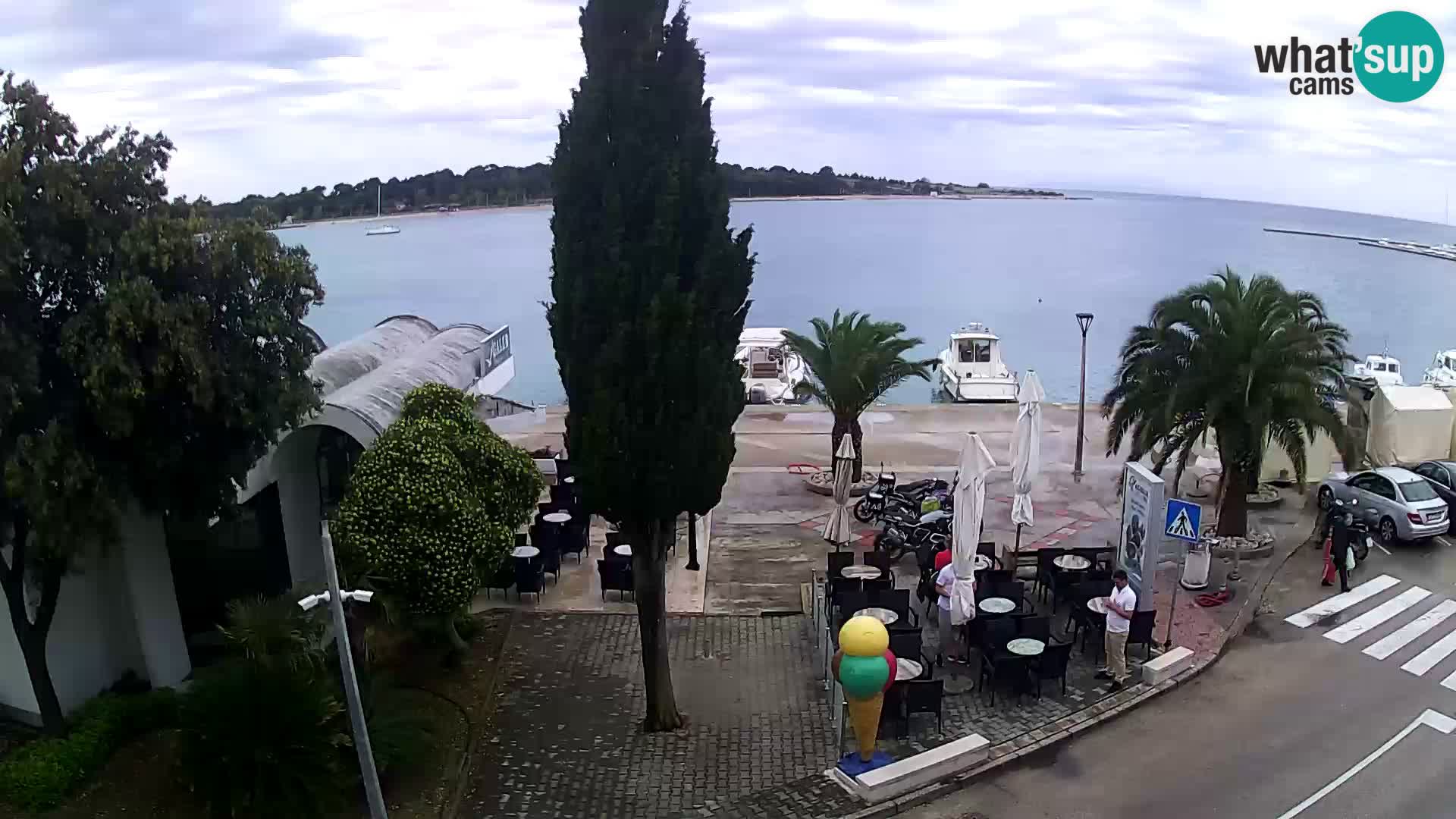 Pag – Novalja costa