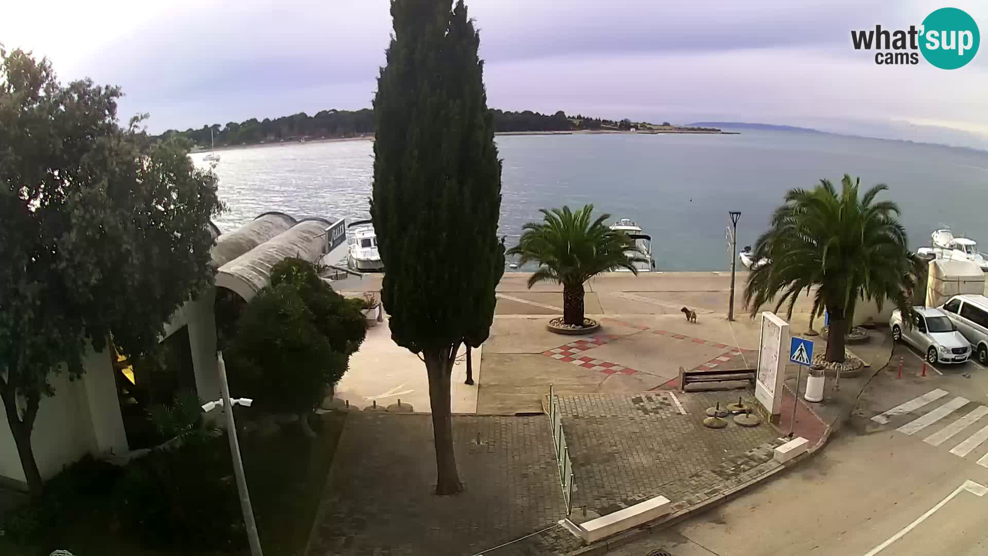 Pag – La costa davanti a Novaglia