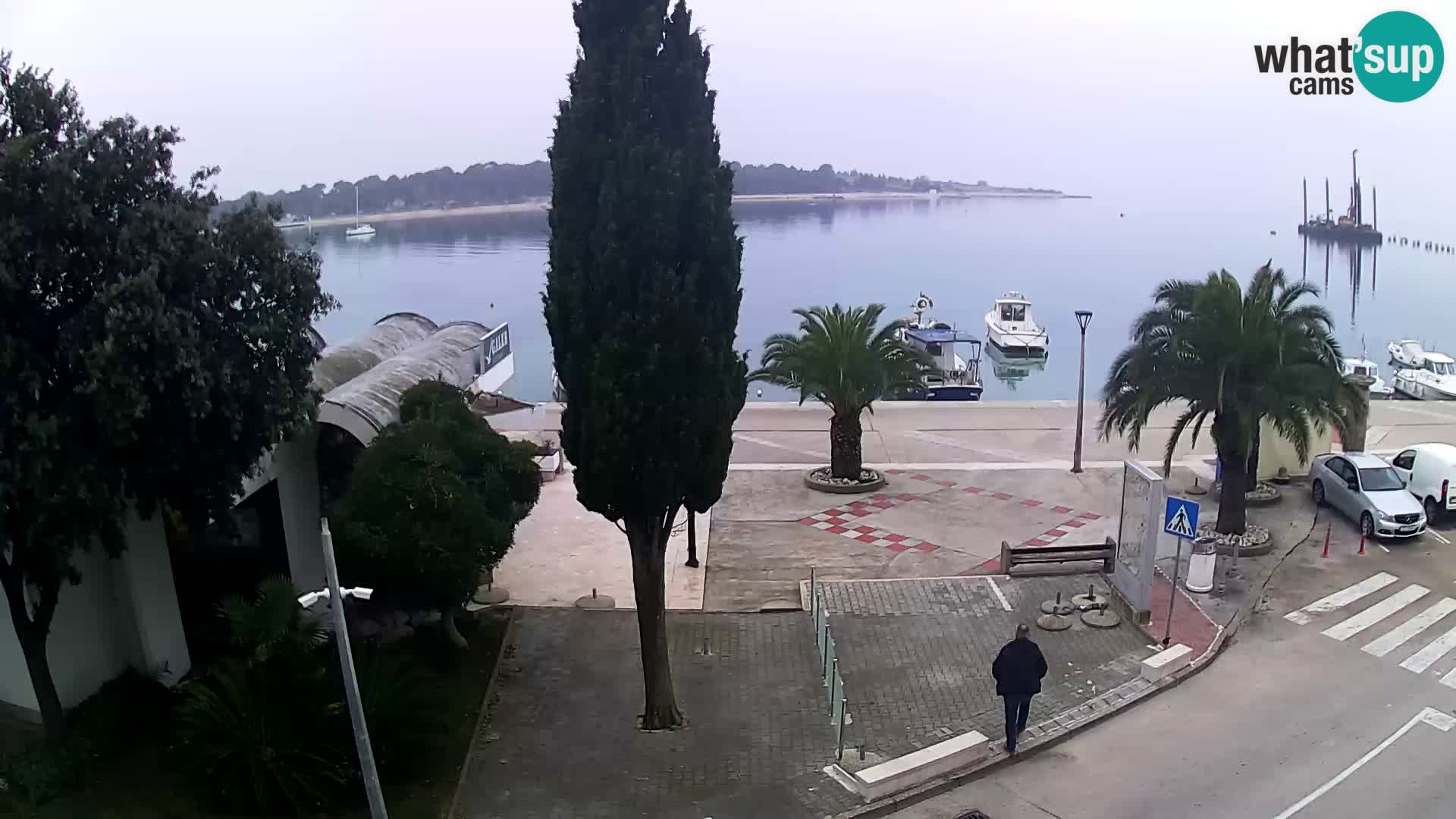 Pag – La costa davanti a Novaglia