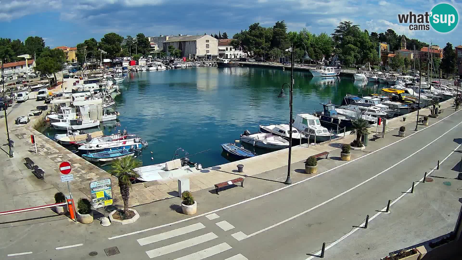 Novigrad webcam – old marina “Mandrač”
