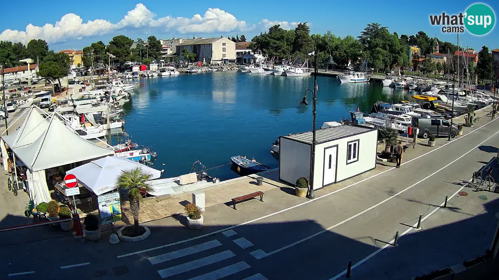Novigrad – puerto viejo “Mandrač”